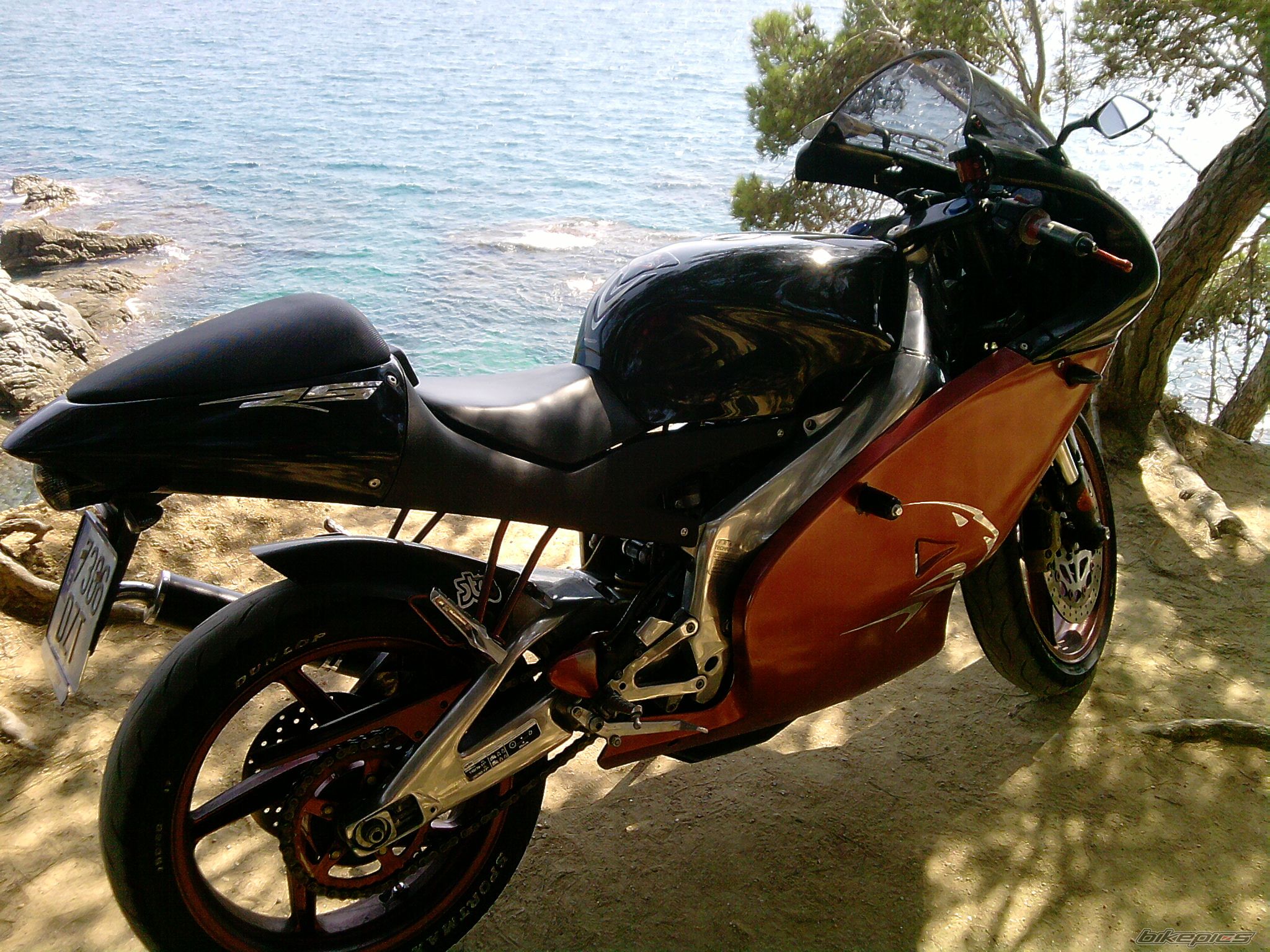 Photo 2277302