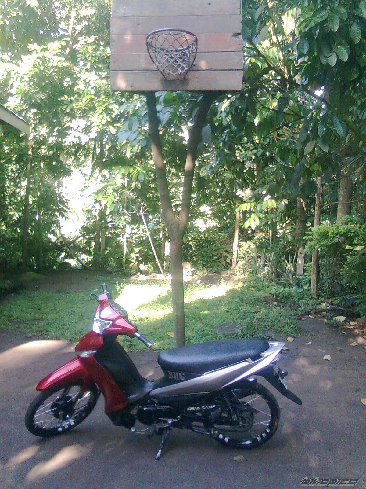 Photo 2277328