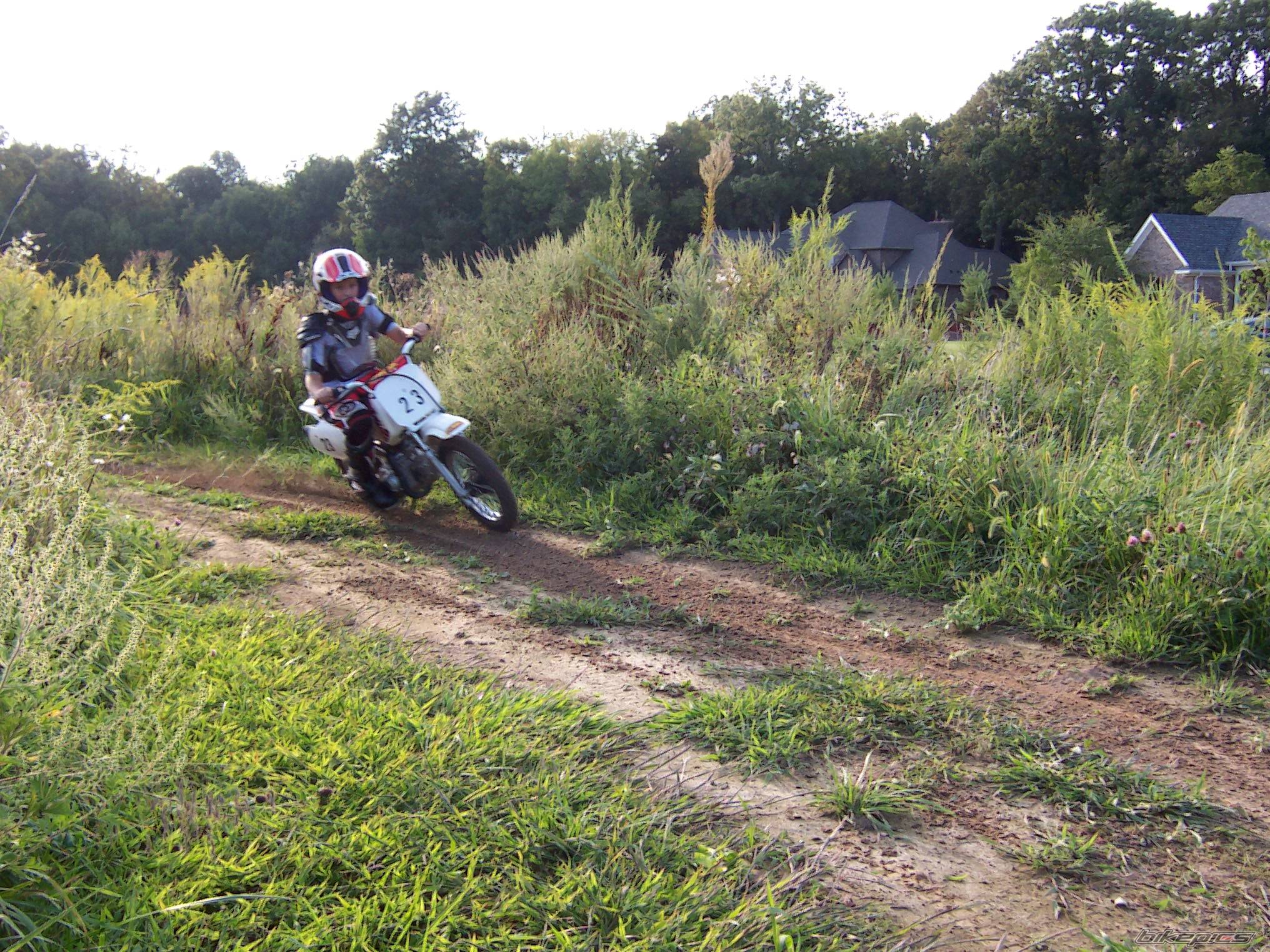 Photo 227743