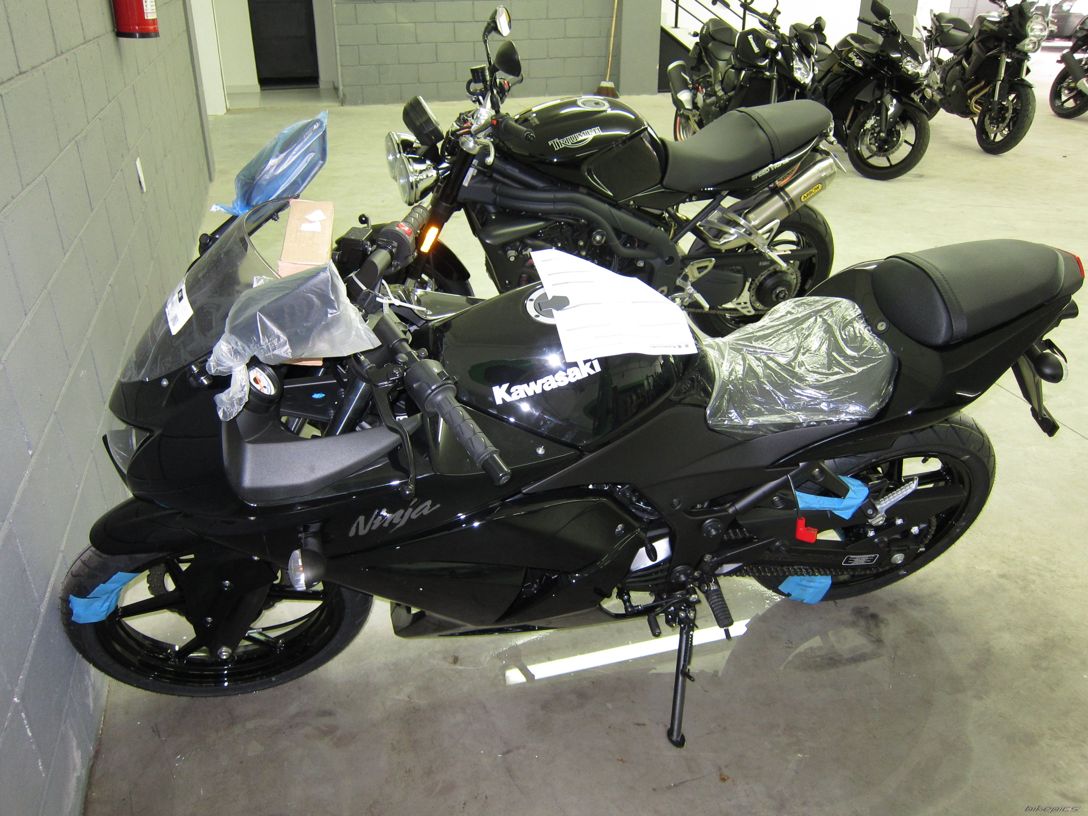 Photo 2277499