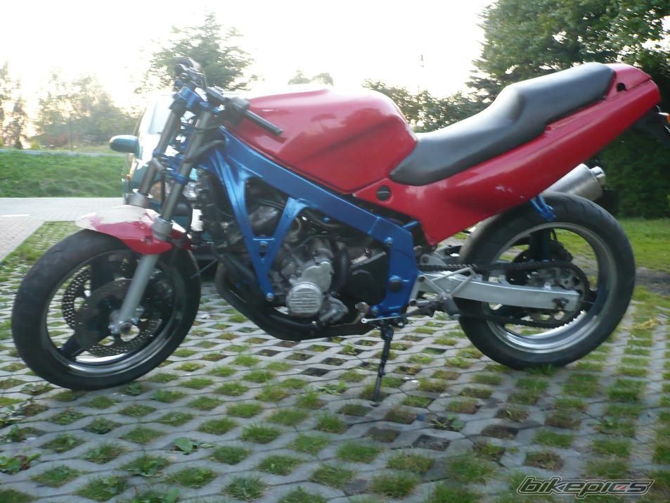 Photo 2277558