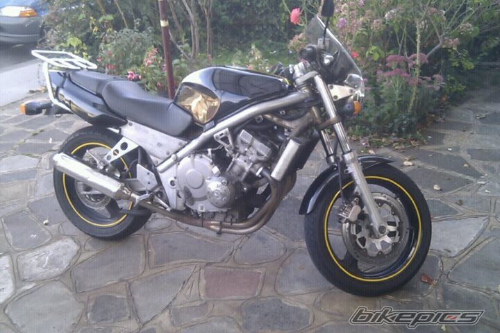 Photo 2277648