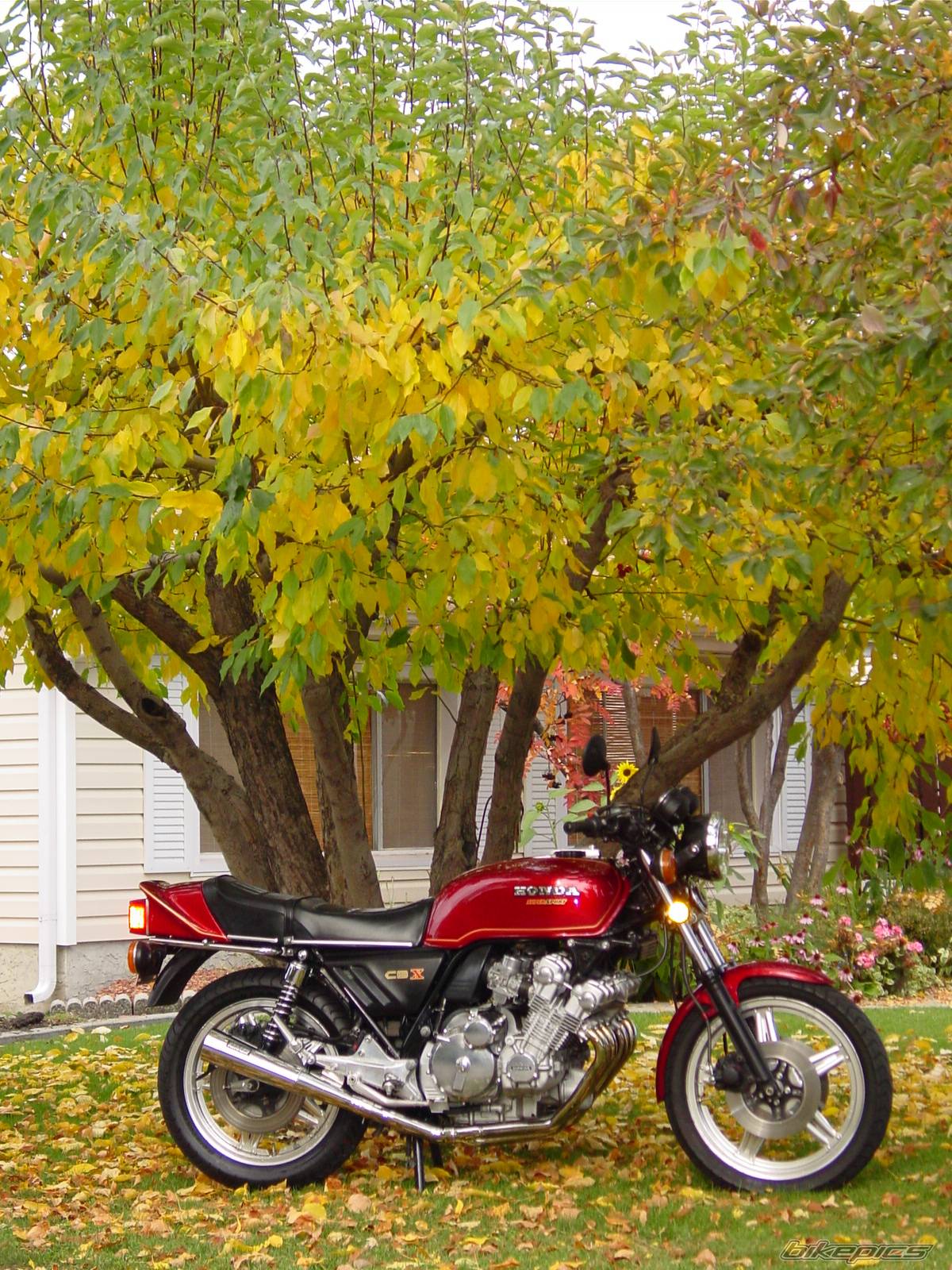 Bike Photo 227766