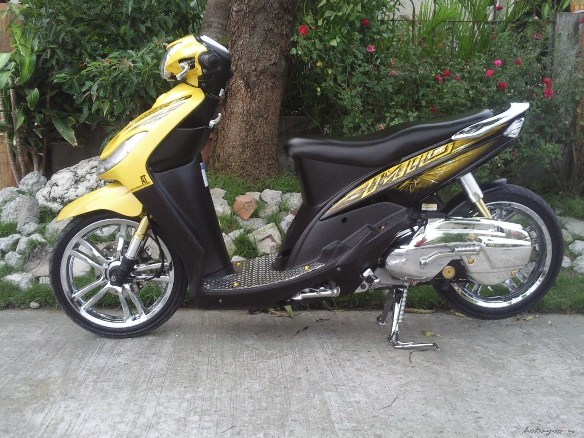Photo 2277930