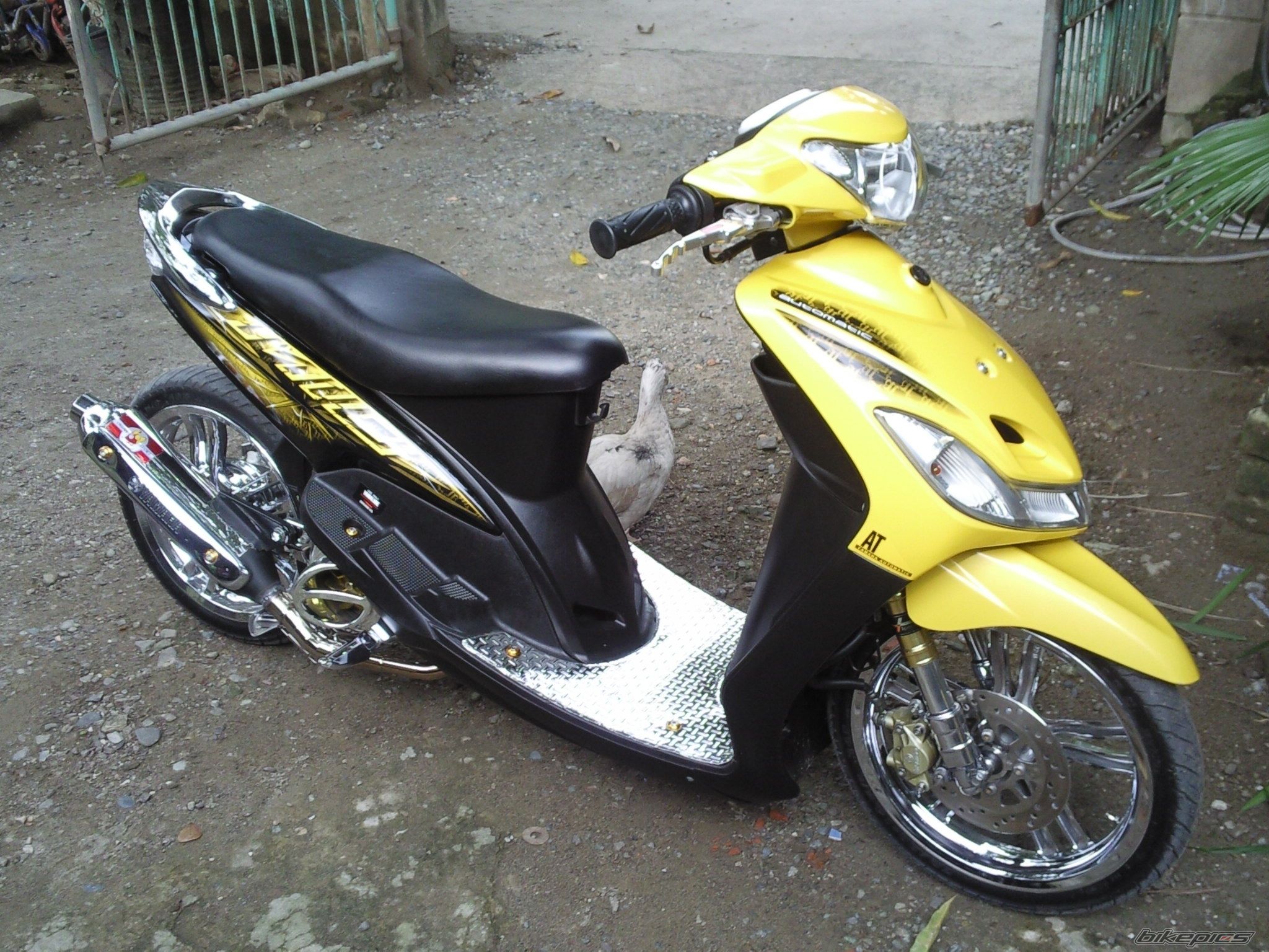 Photo 2277949