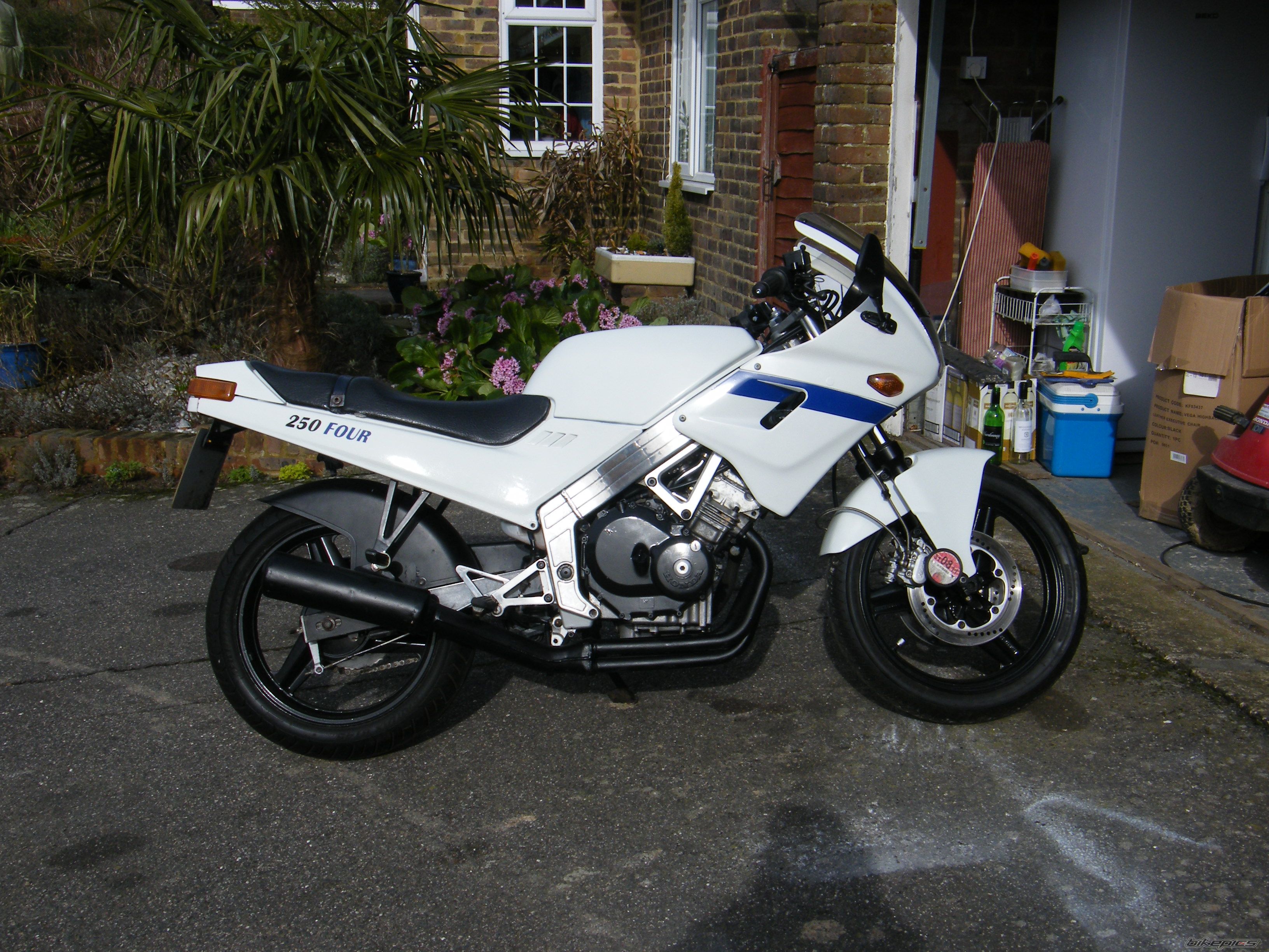 Photo 2278104