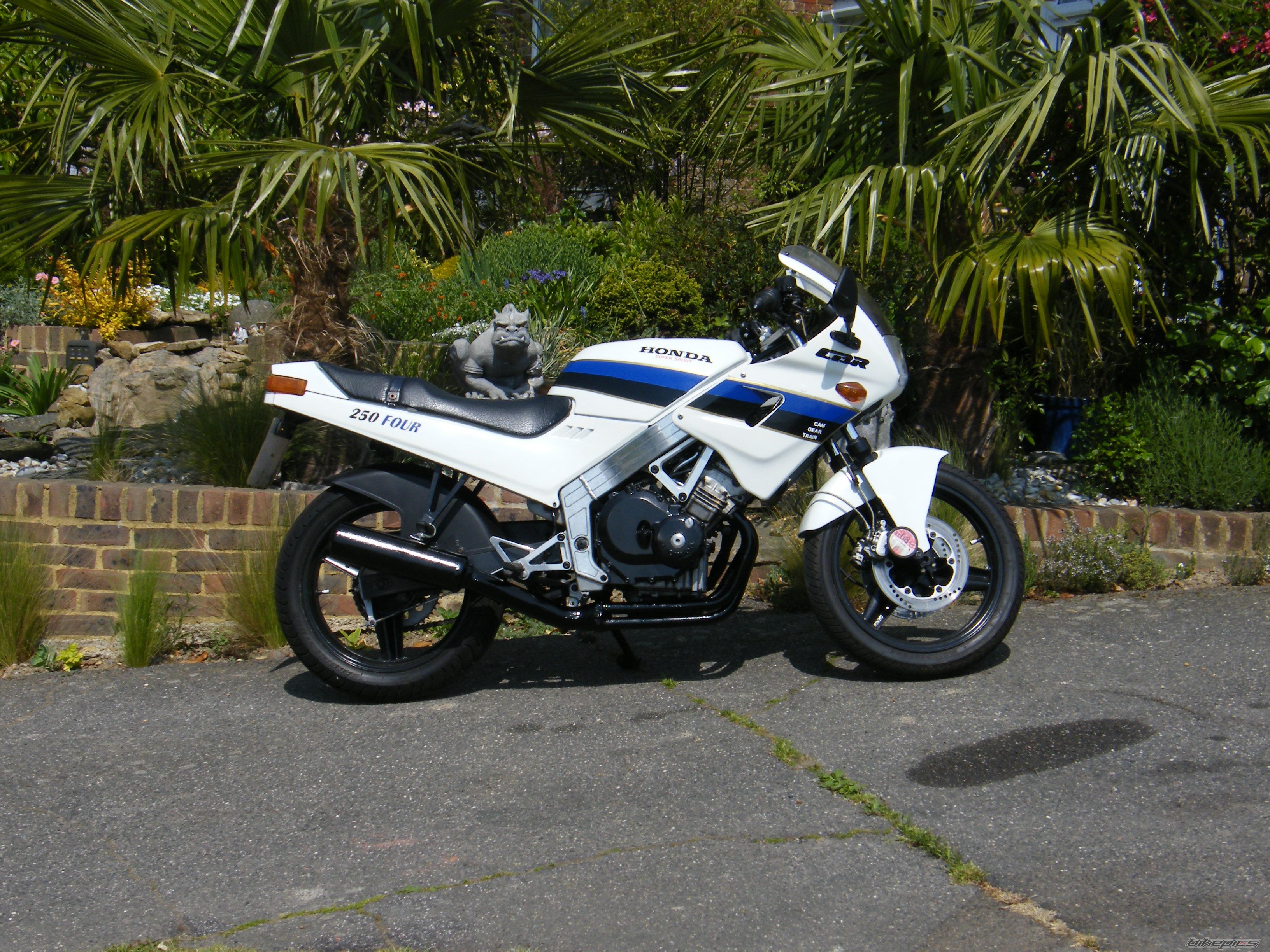 Photo 2278105
