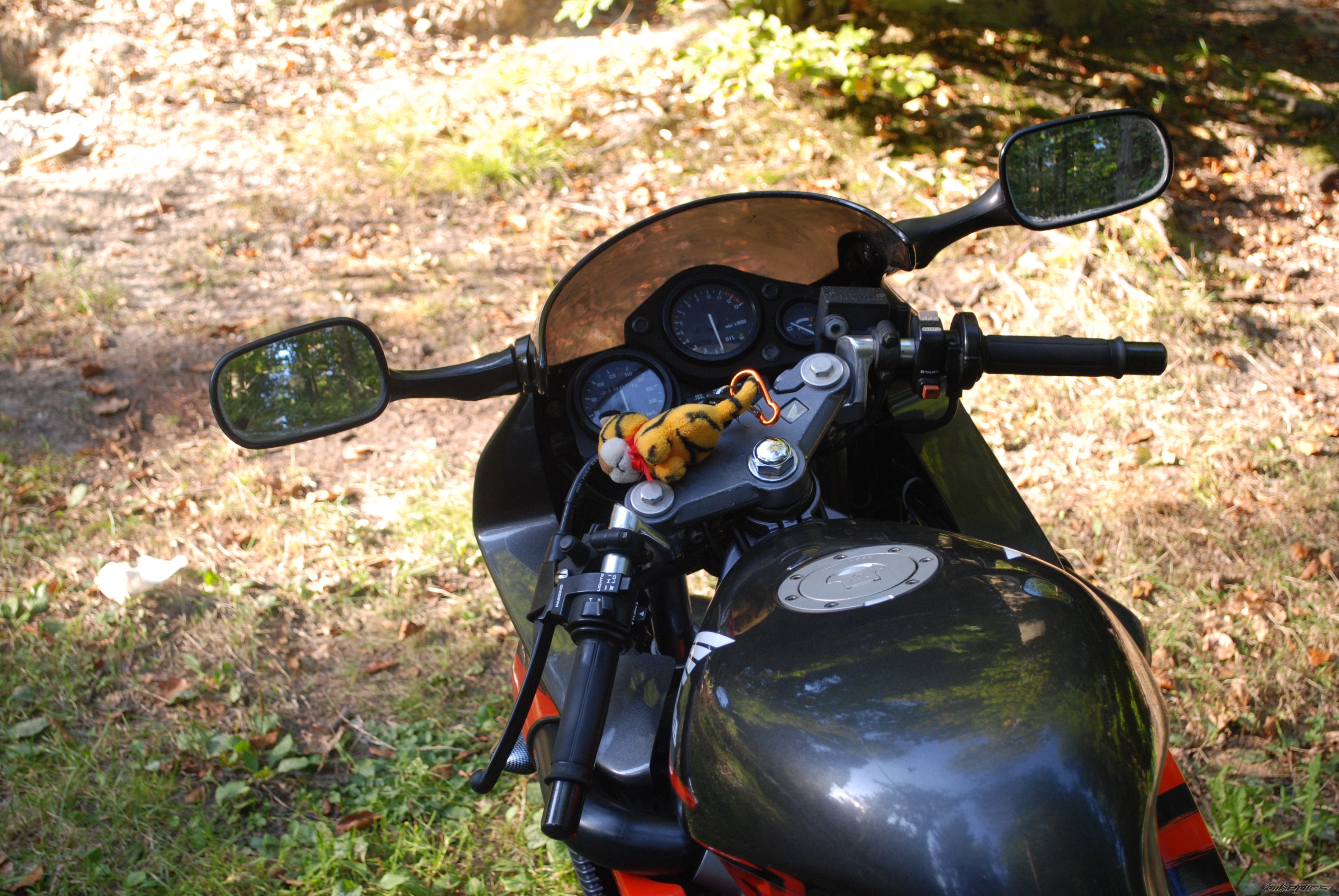 Photo 2278133