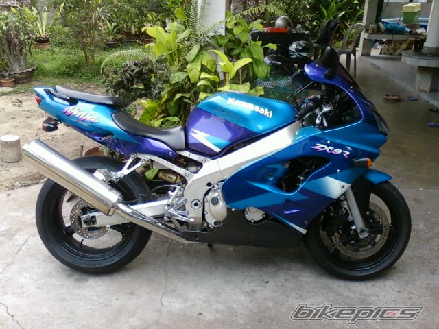 Photo 2278149