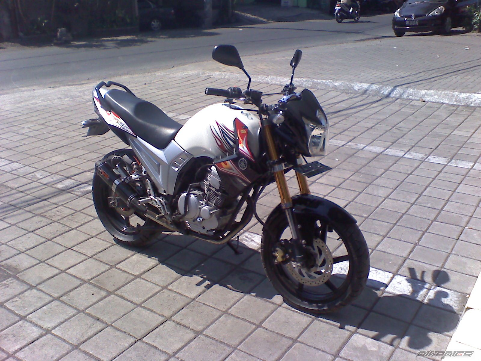 Photo 2278157