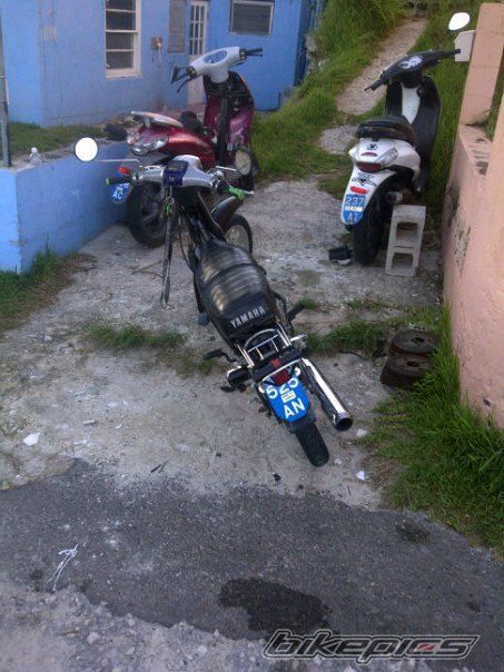 Photo 2278159
