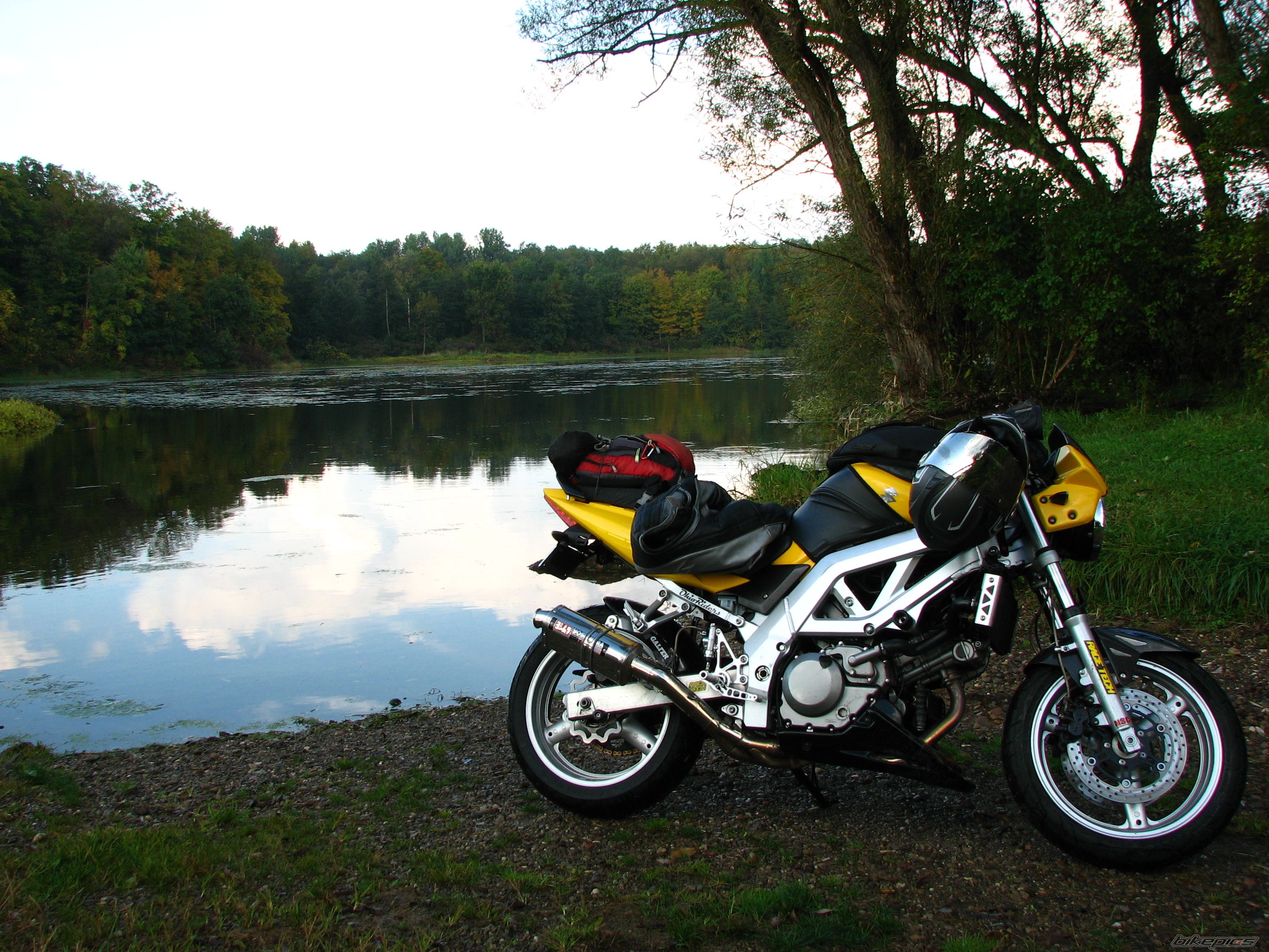 Photo 2278248