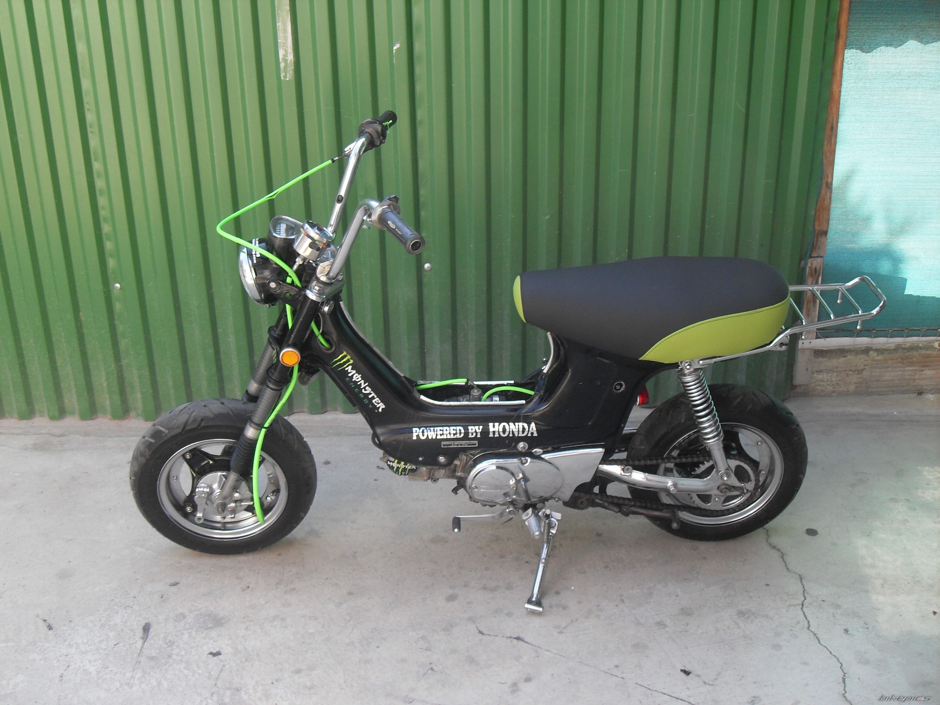Photo 2278313