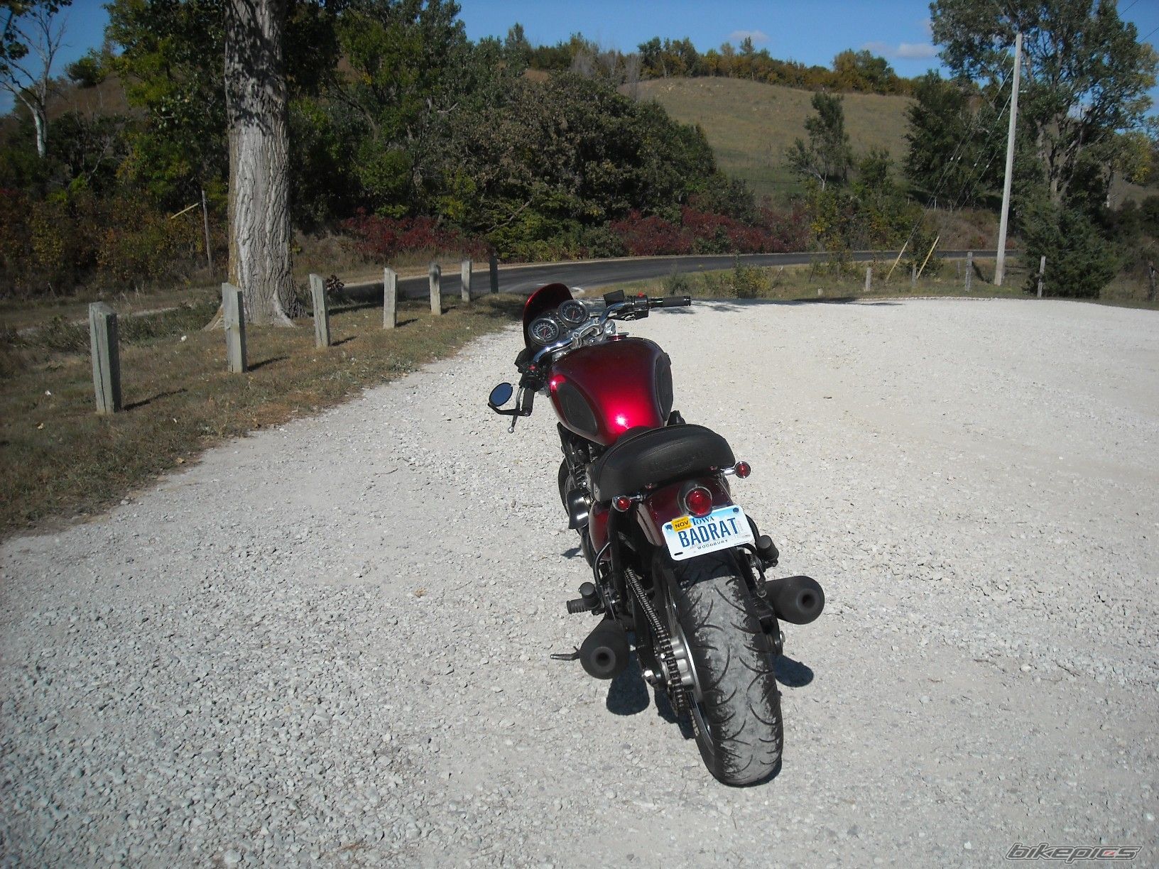Photo 2278329