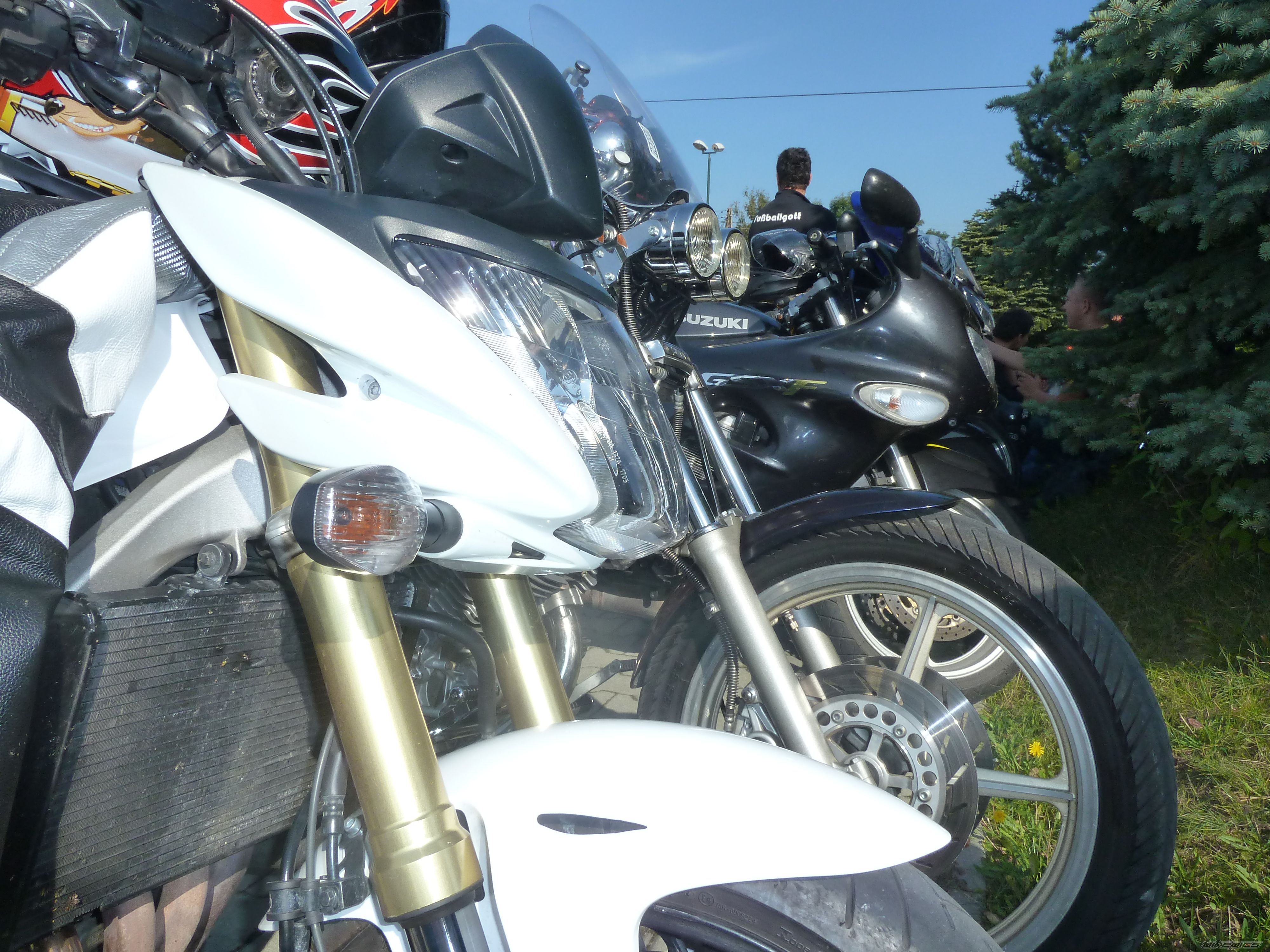 Photo 2278335