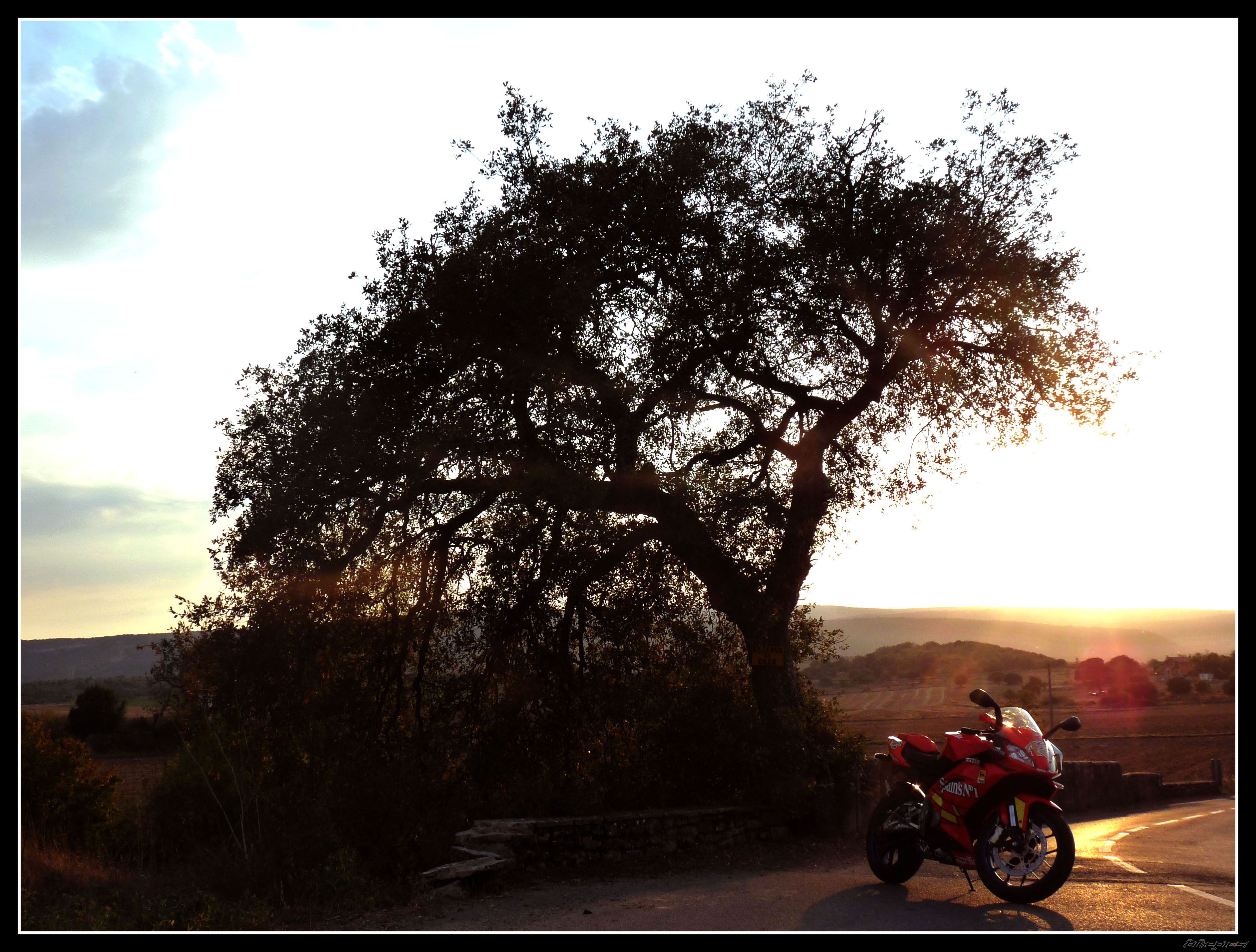 Photo 2278371