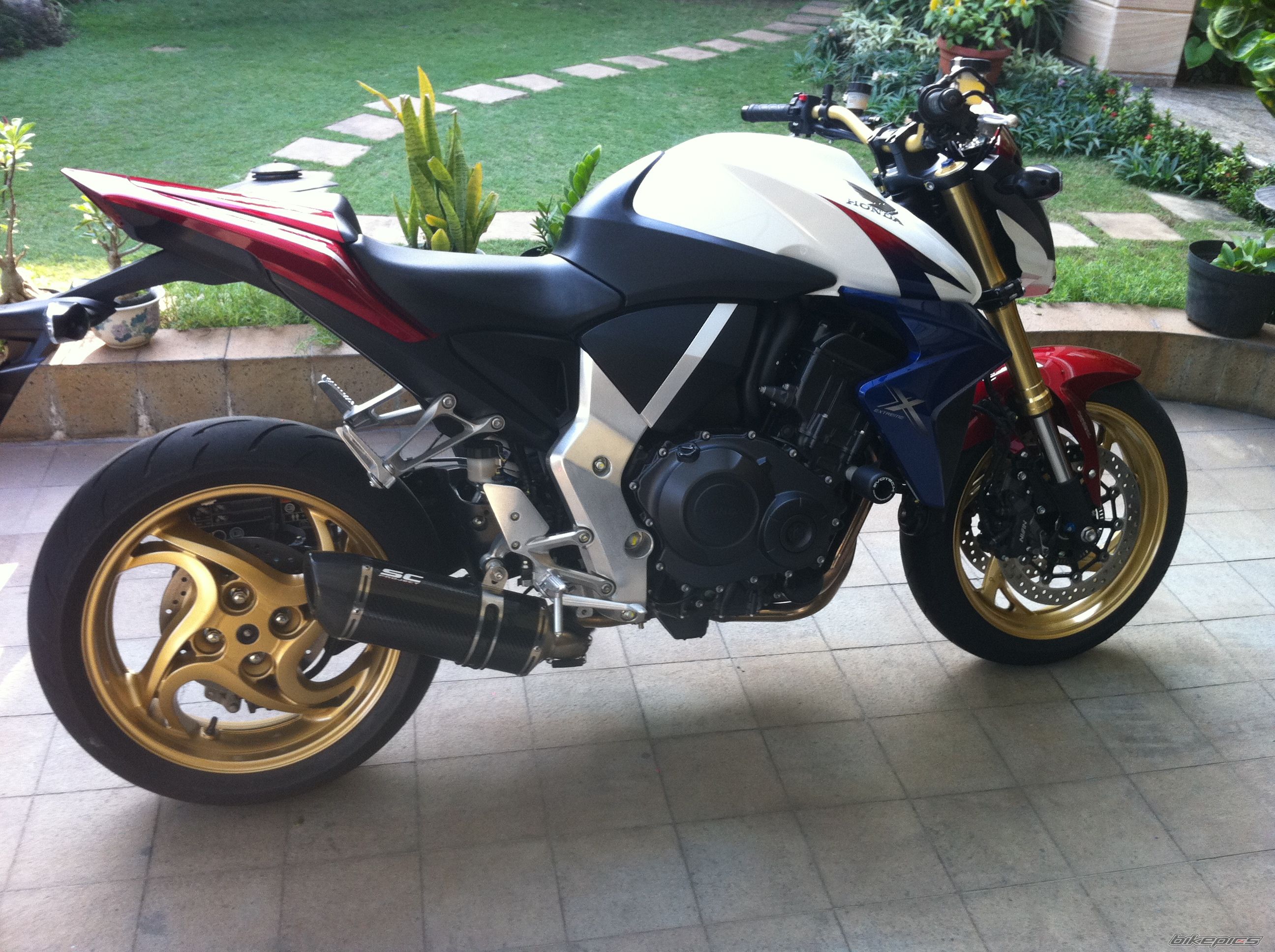 Photo 2278413
