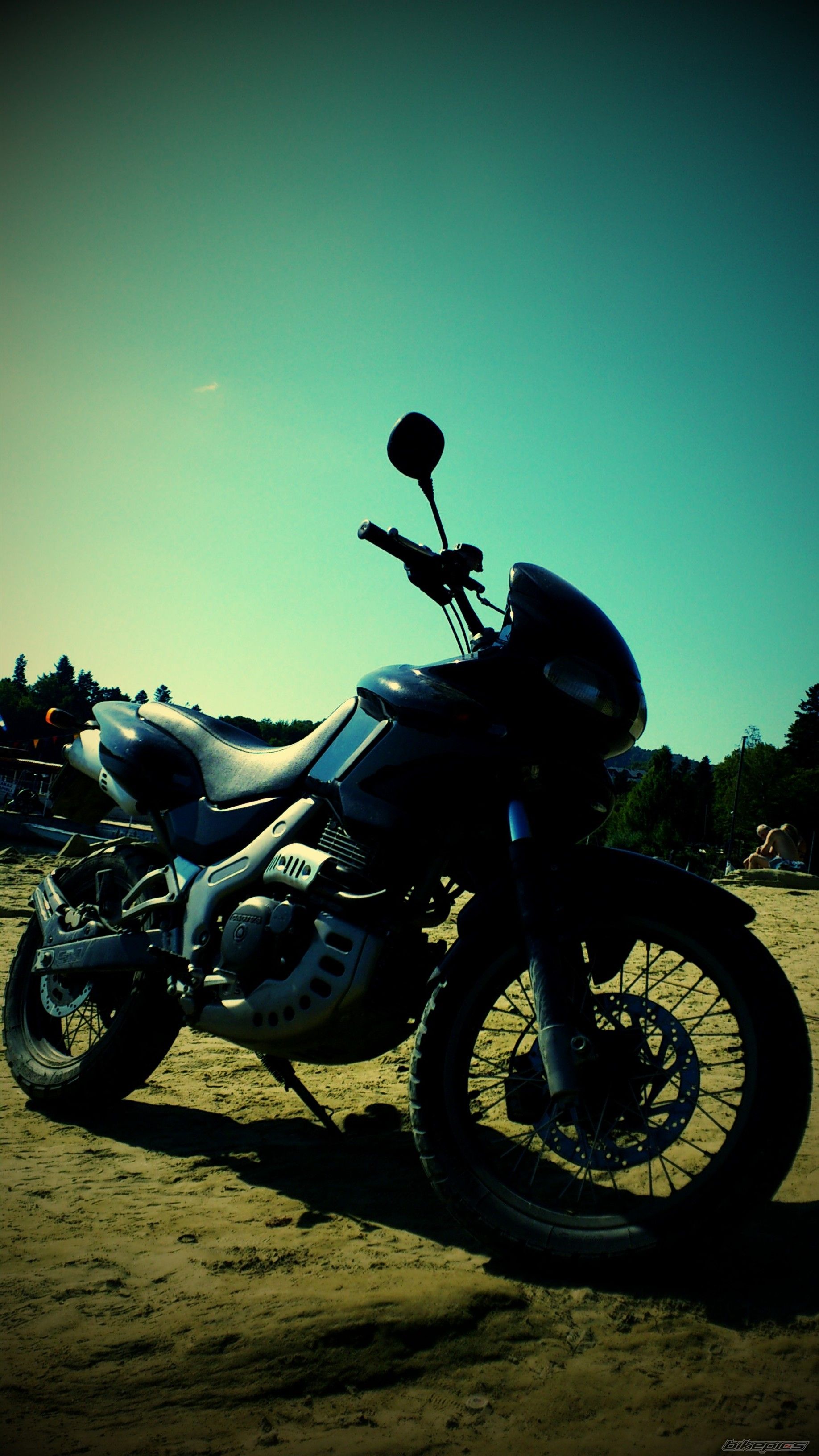 Photo 2278438