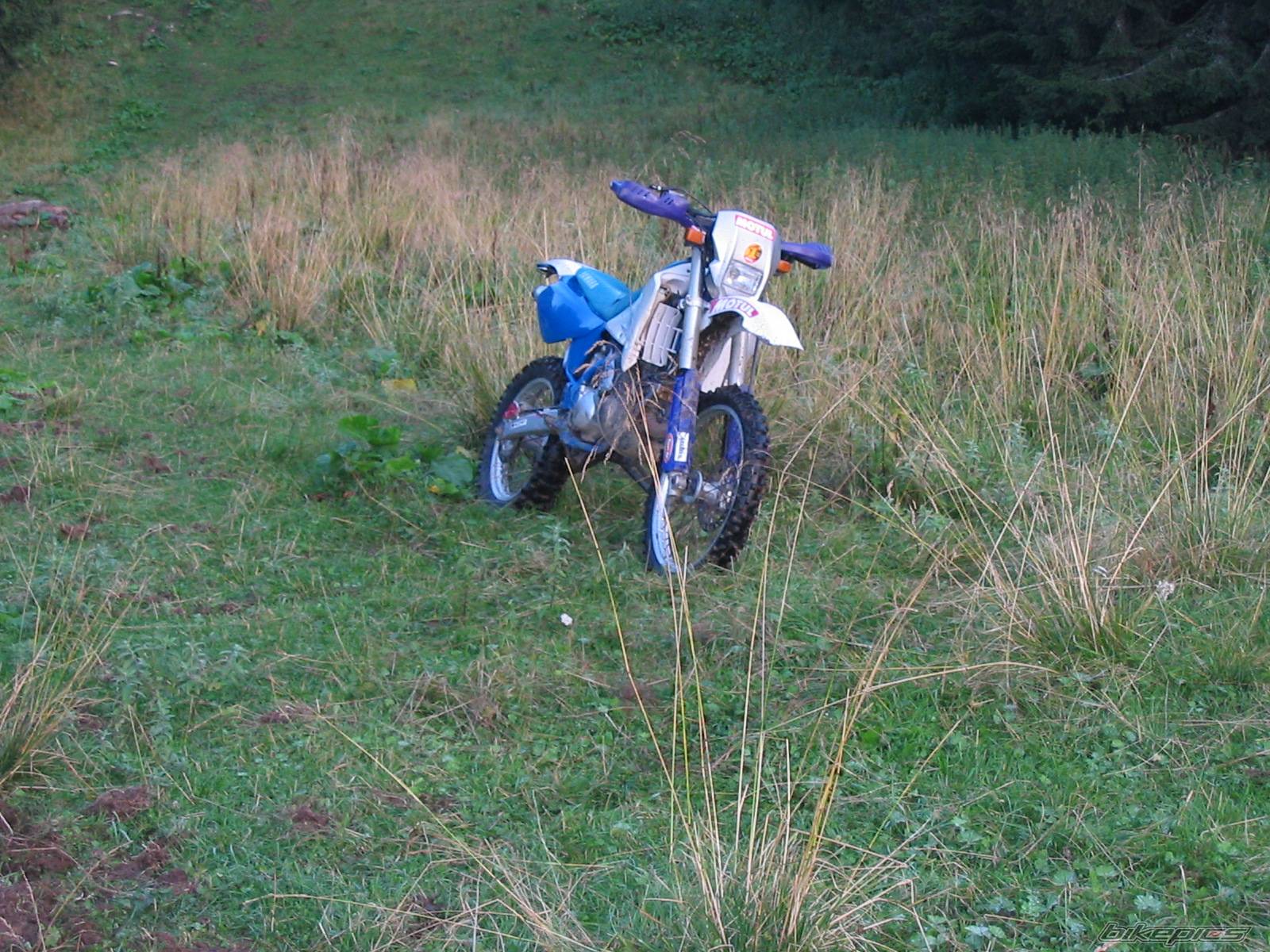 Photo 227844
