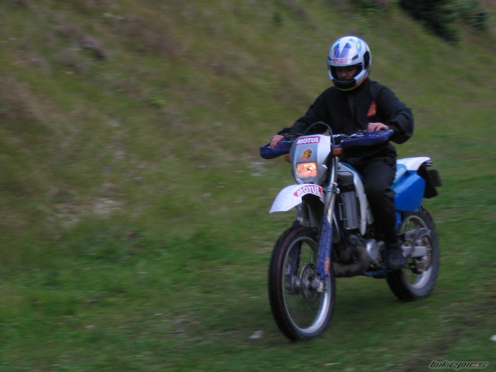 Photo 227845
