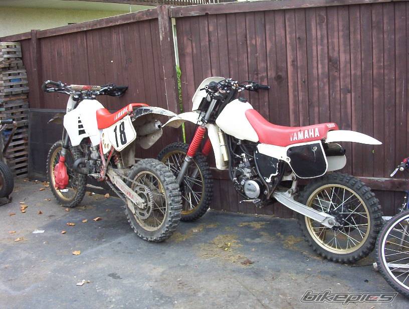 Photo 227848