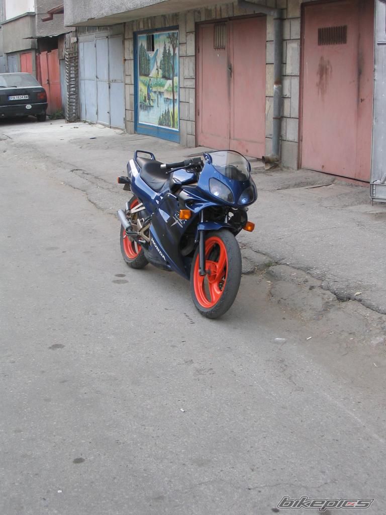 Photo 2278581