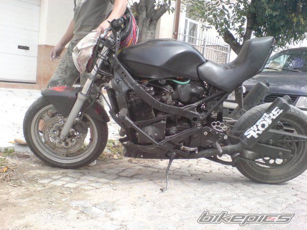 Photo 2278586