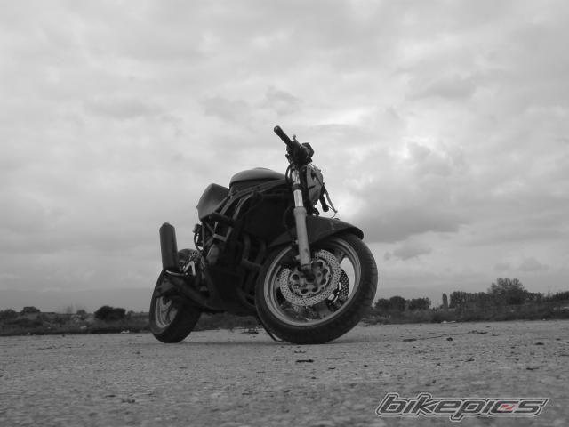Photo 2278588