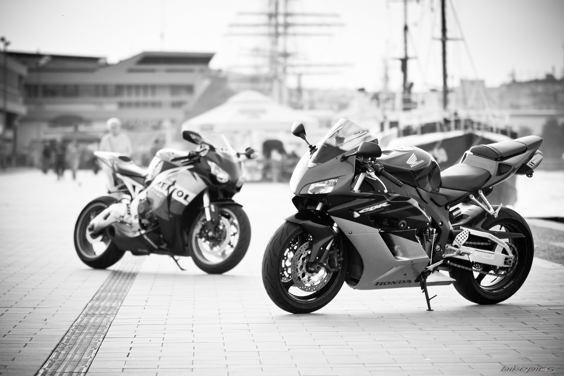 Photo 2278782