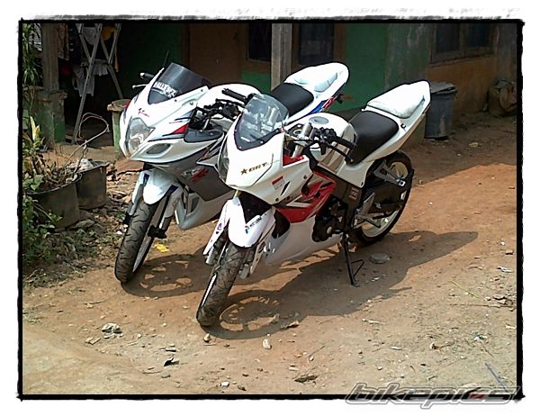 Photo 2278877