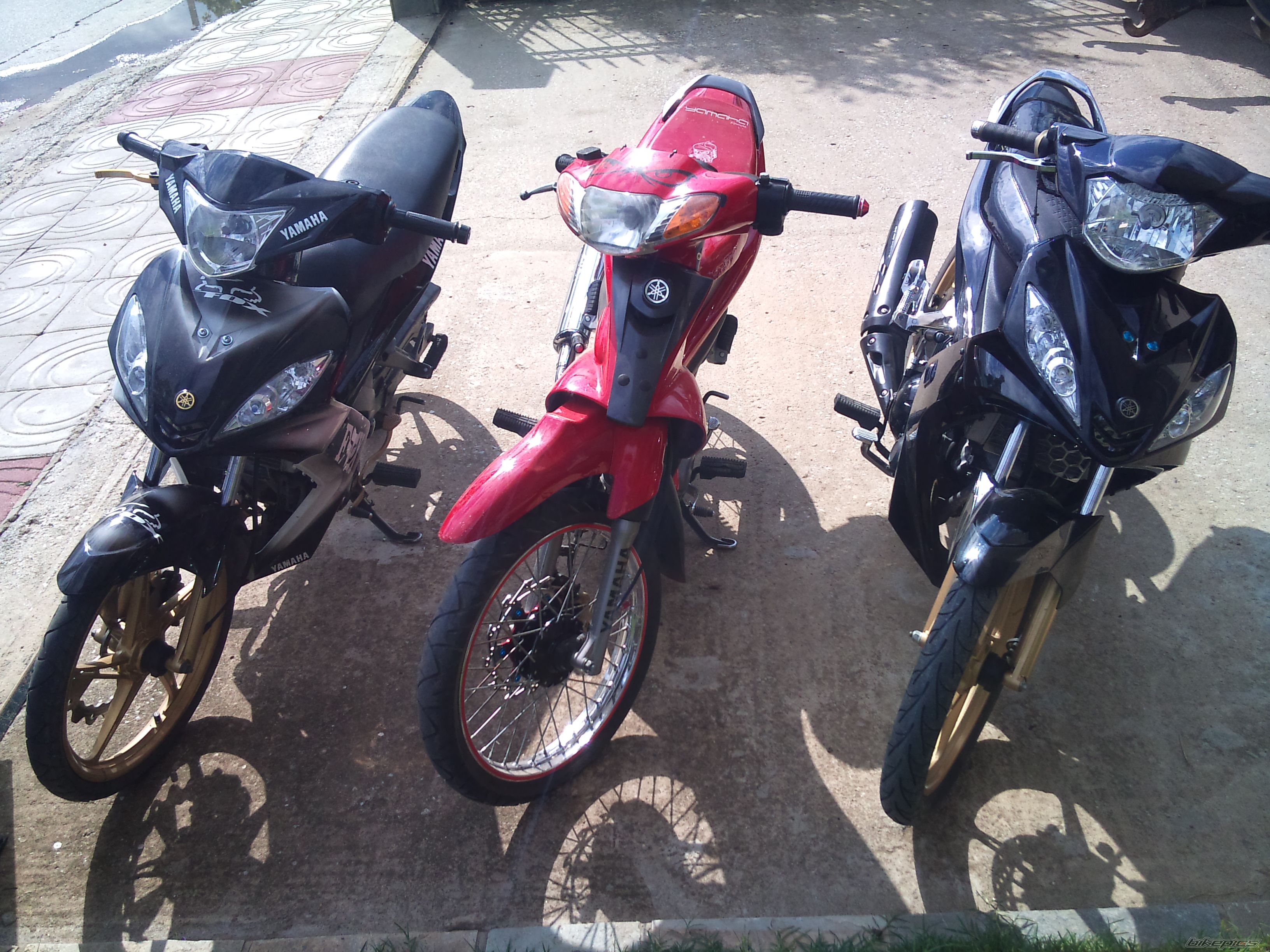 Photo 2278948