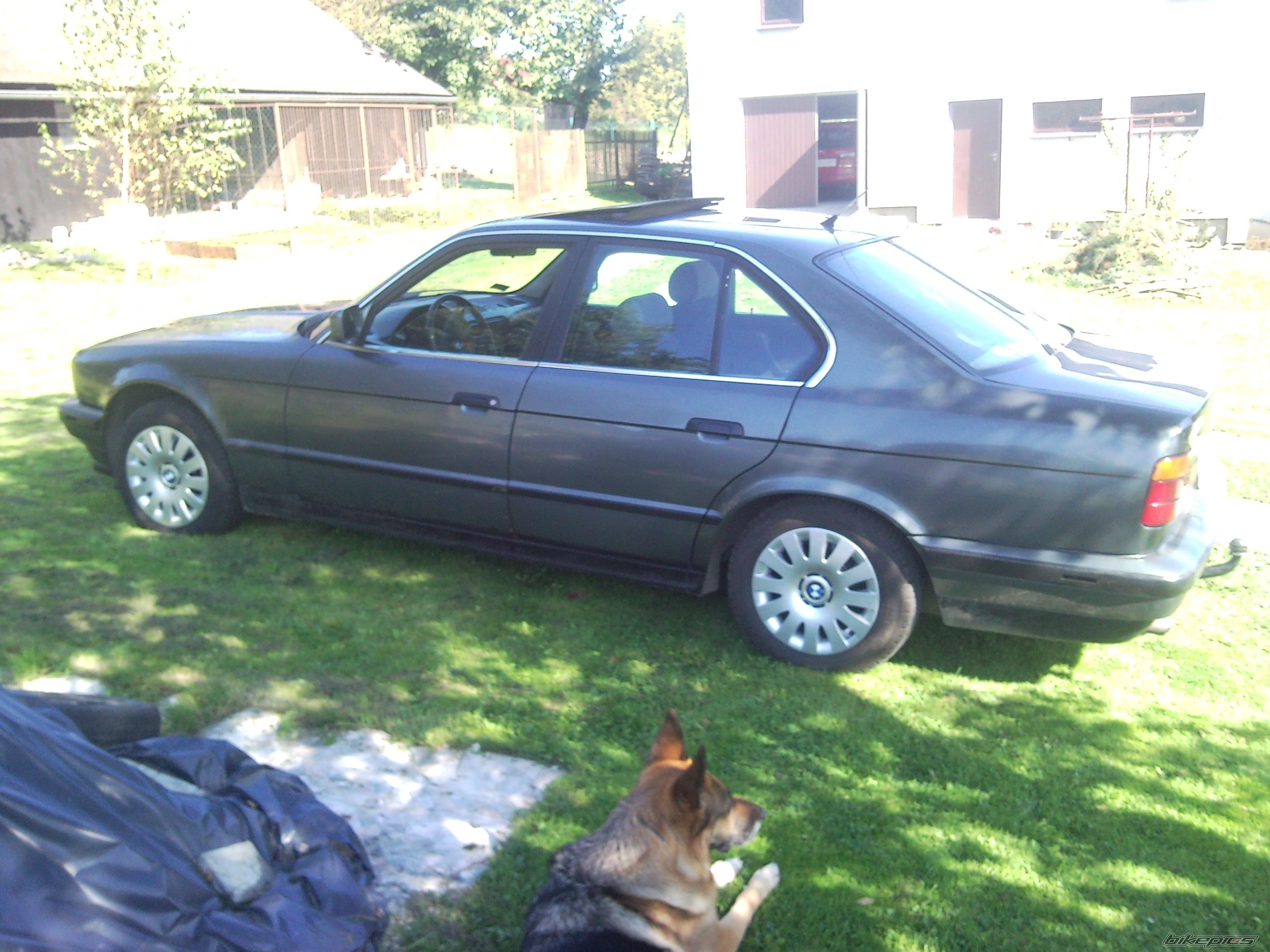 Photo 2278960