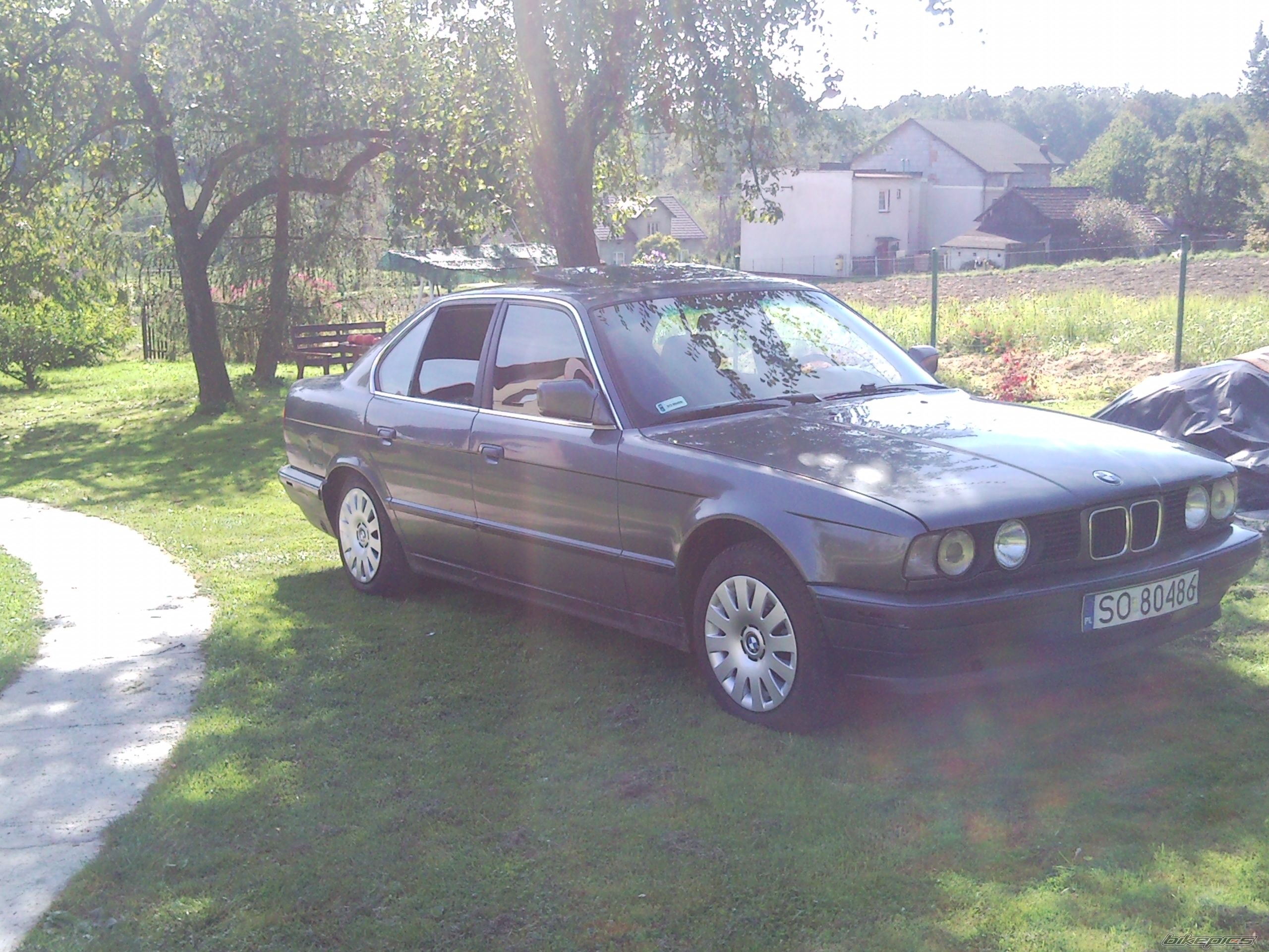 Photo 2278961