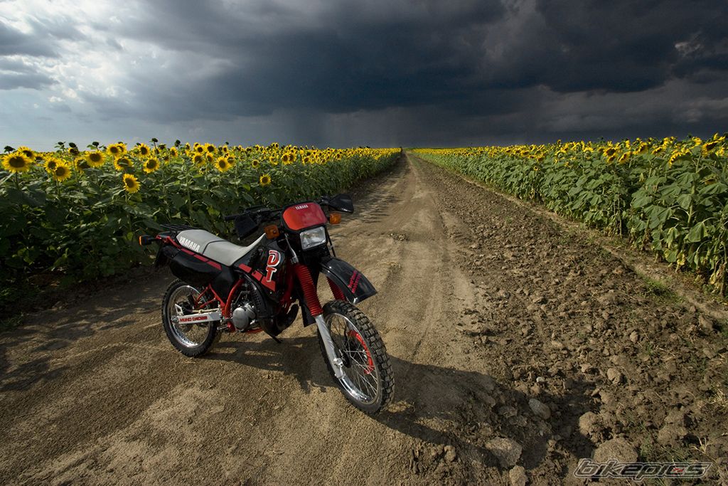 Bike Photo 2279079