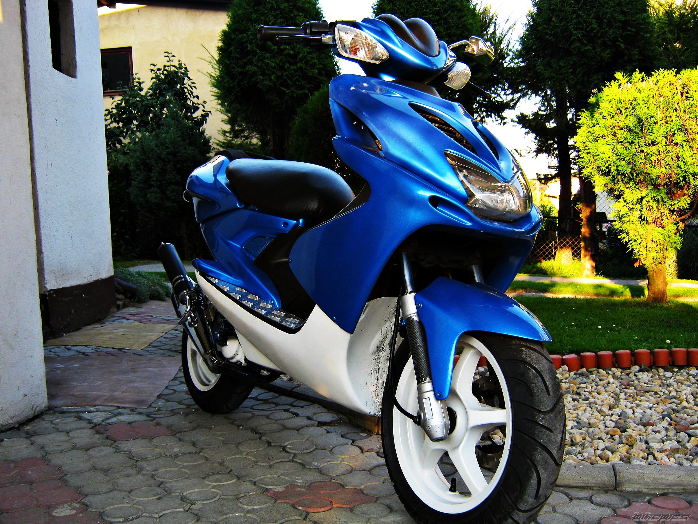 Photo 2279154