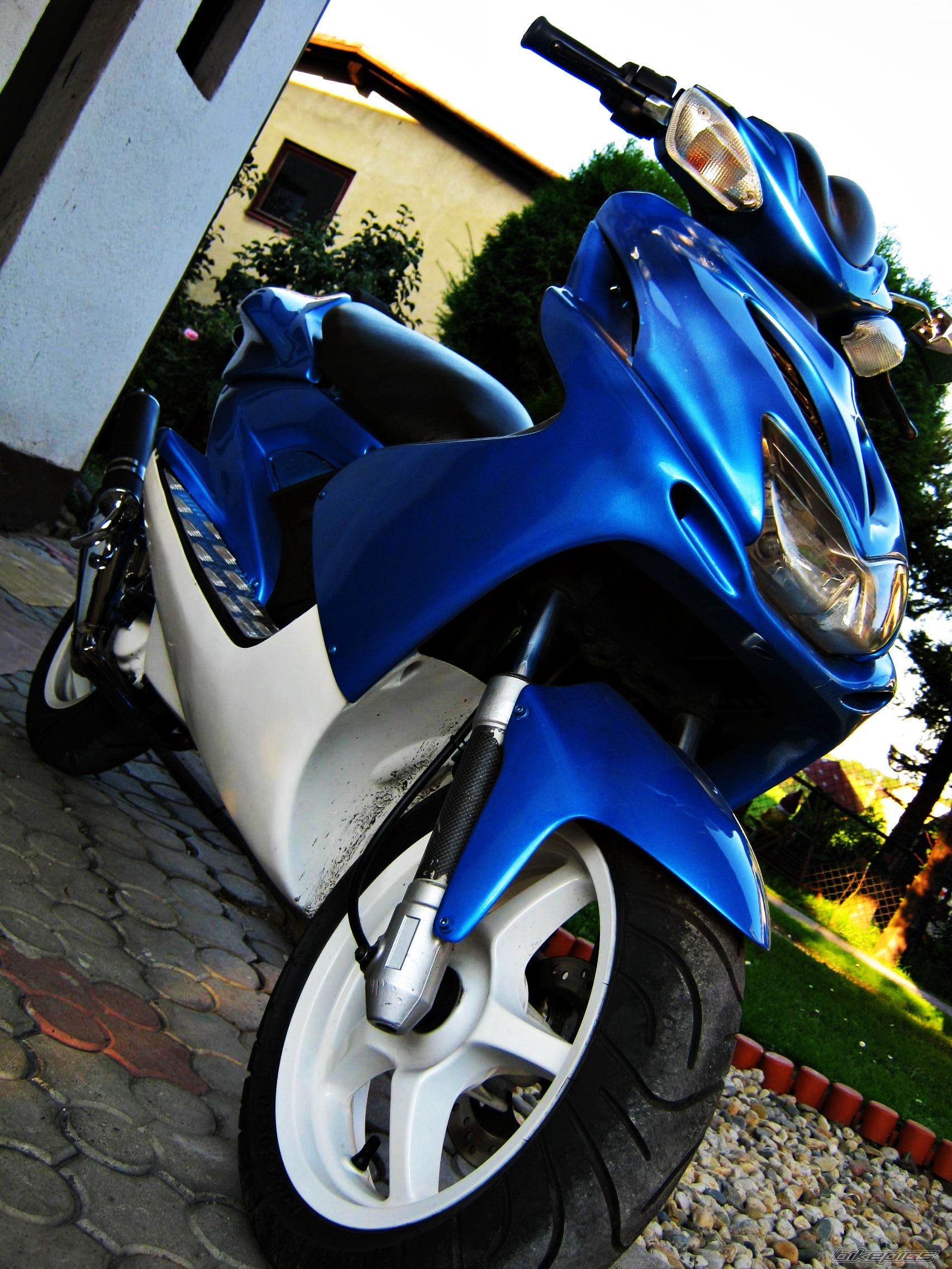 Photo 2279159