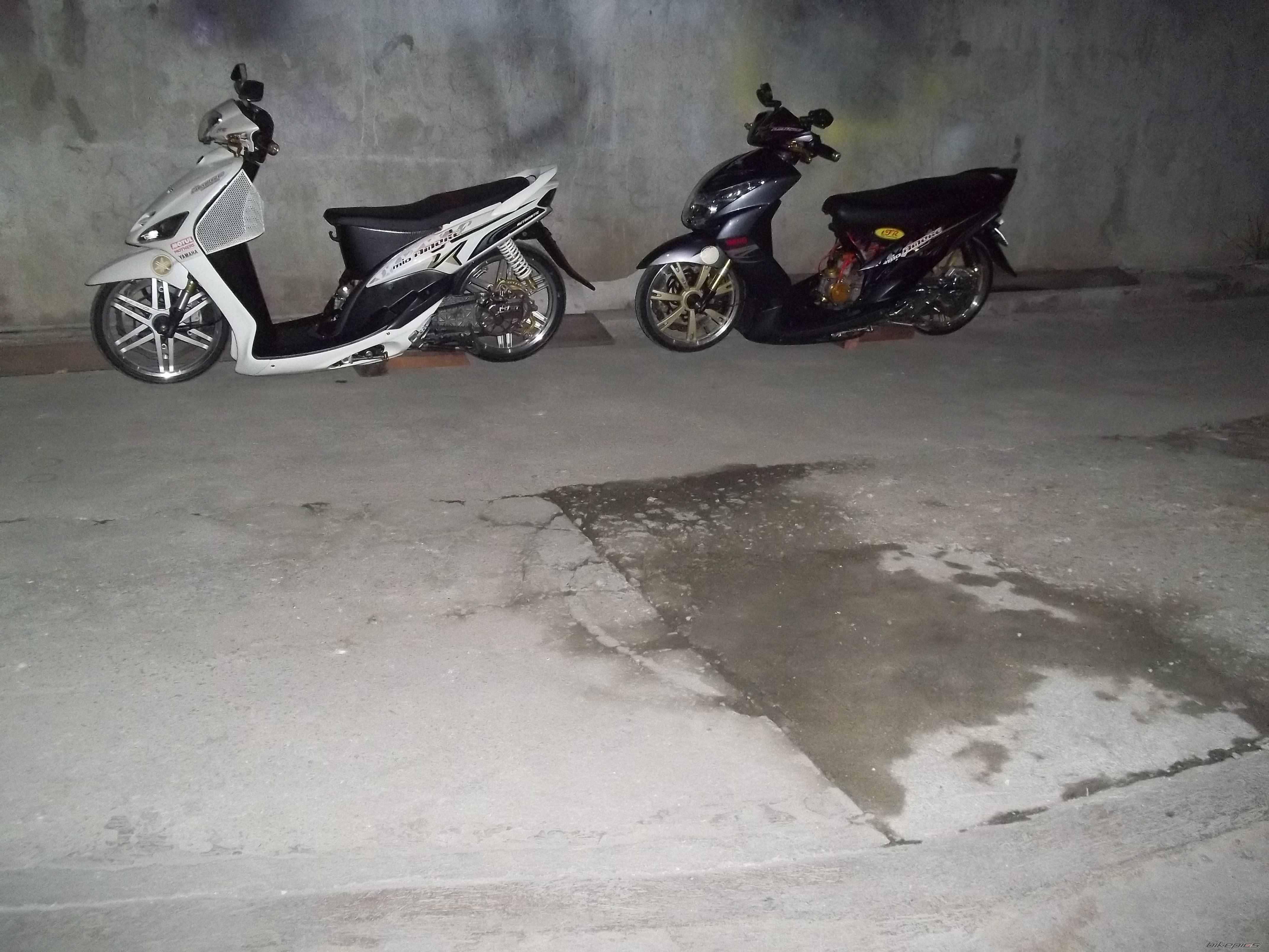Photo 2279212