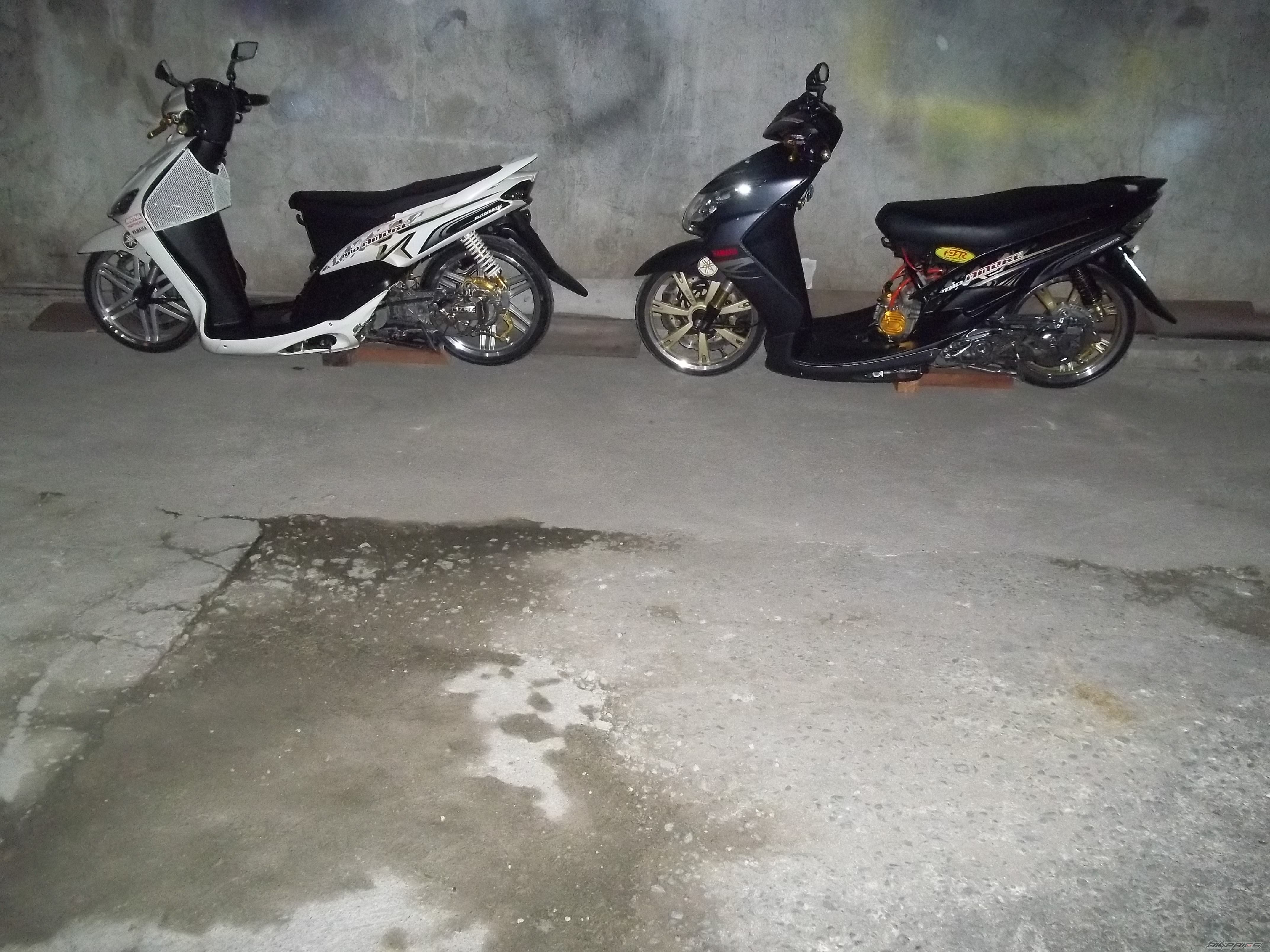 Photo 2279213