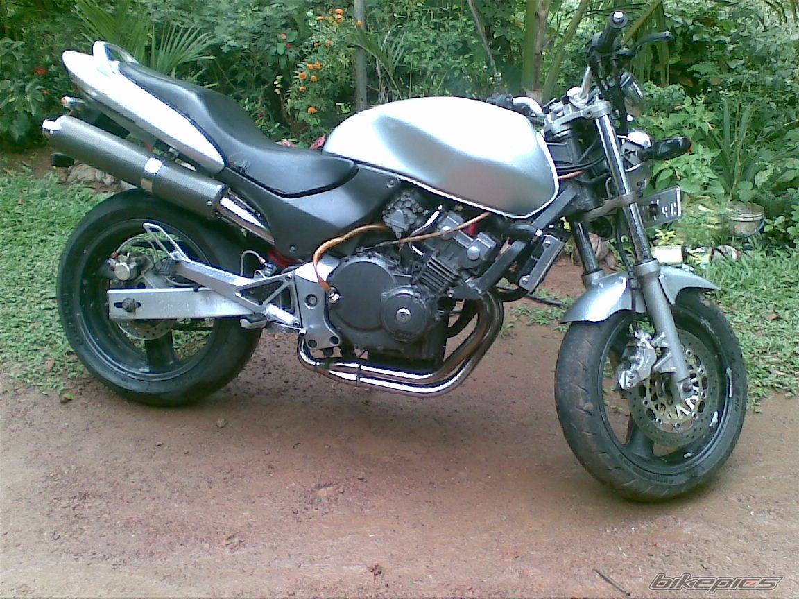 Photo 2279268