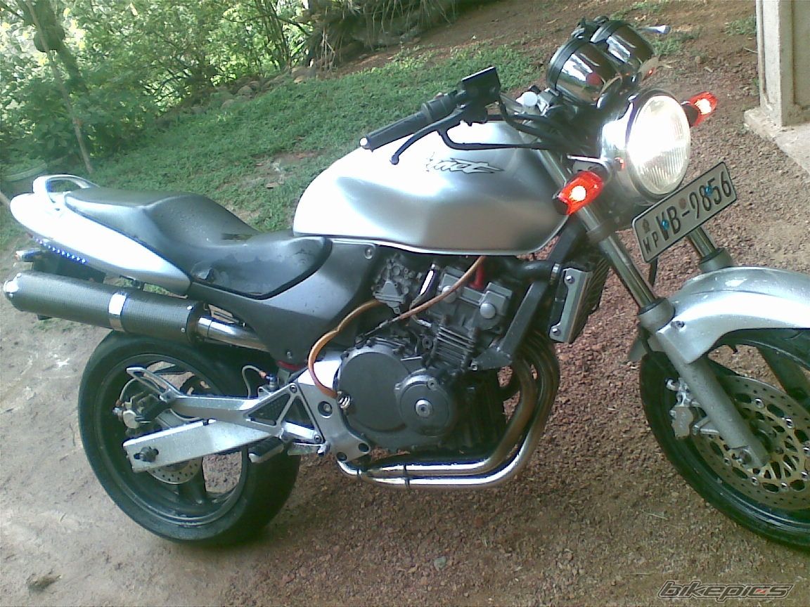 Photo 2279273