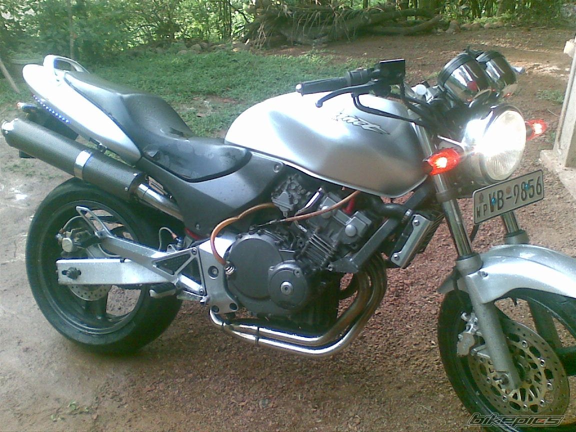 Photo 2279275