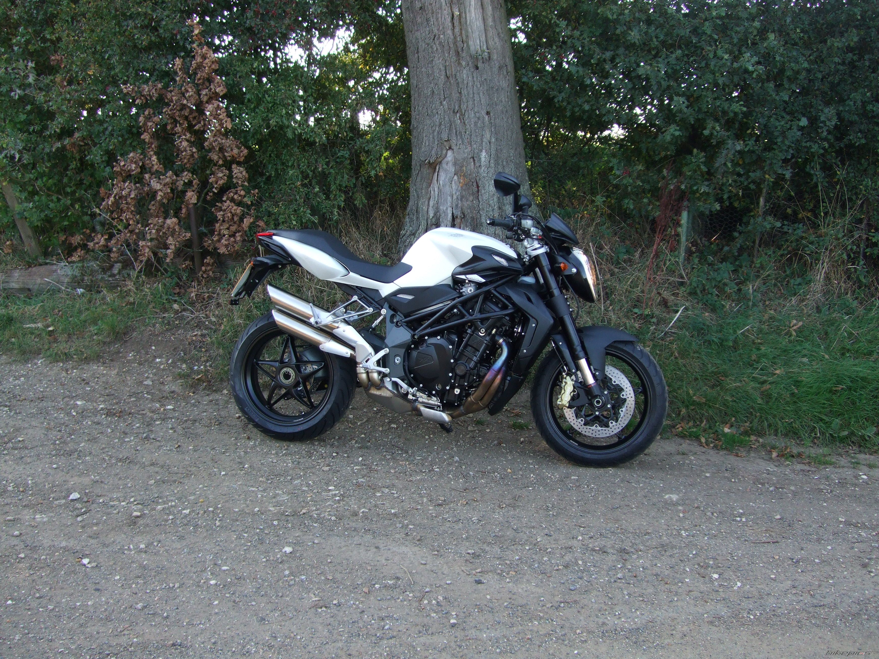 Photo 2279409