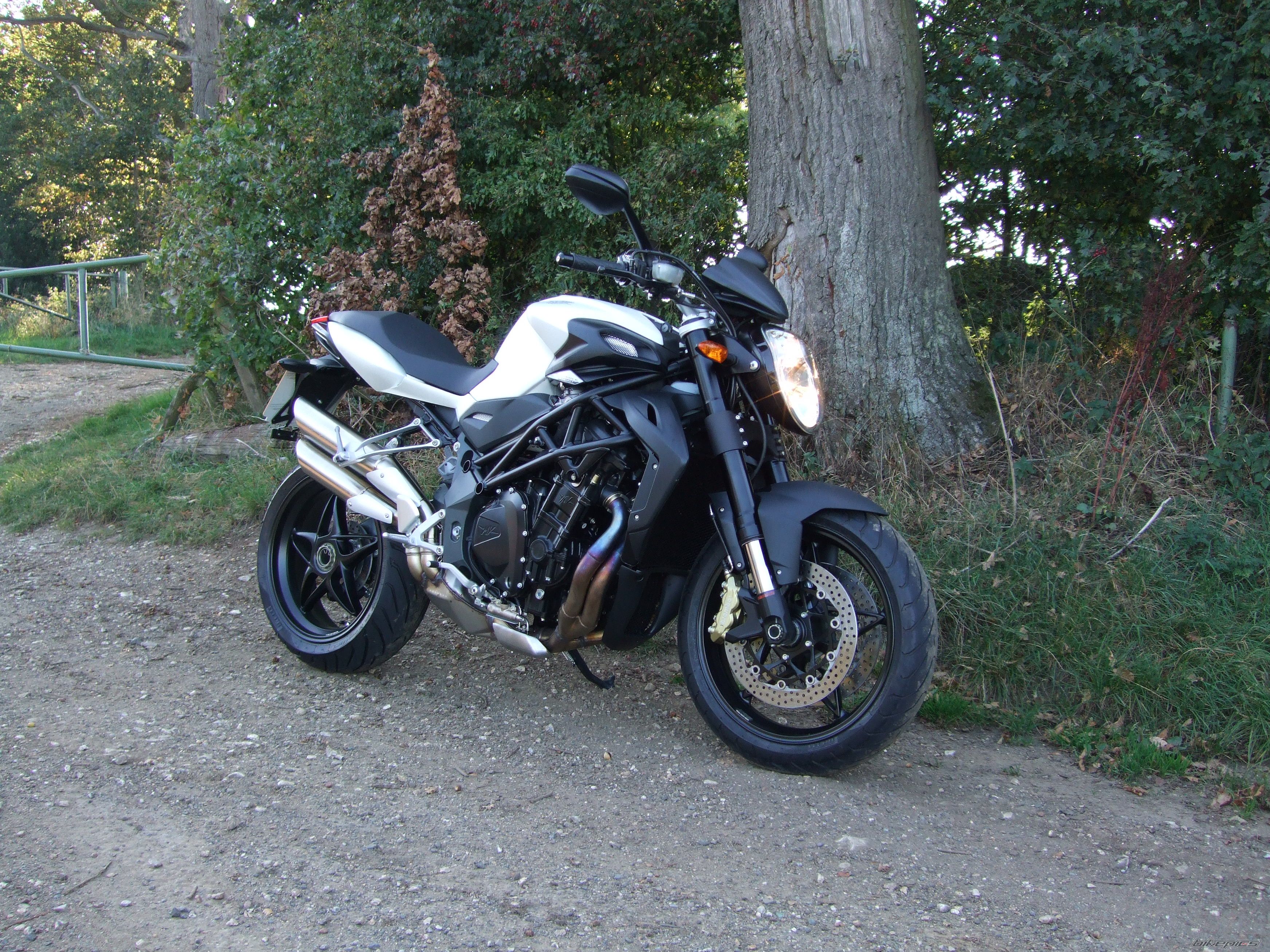 Photo 2279414