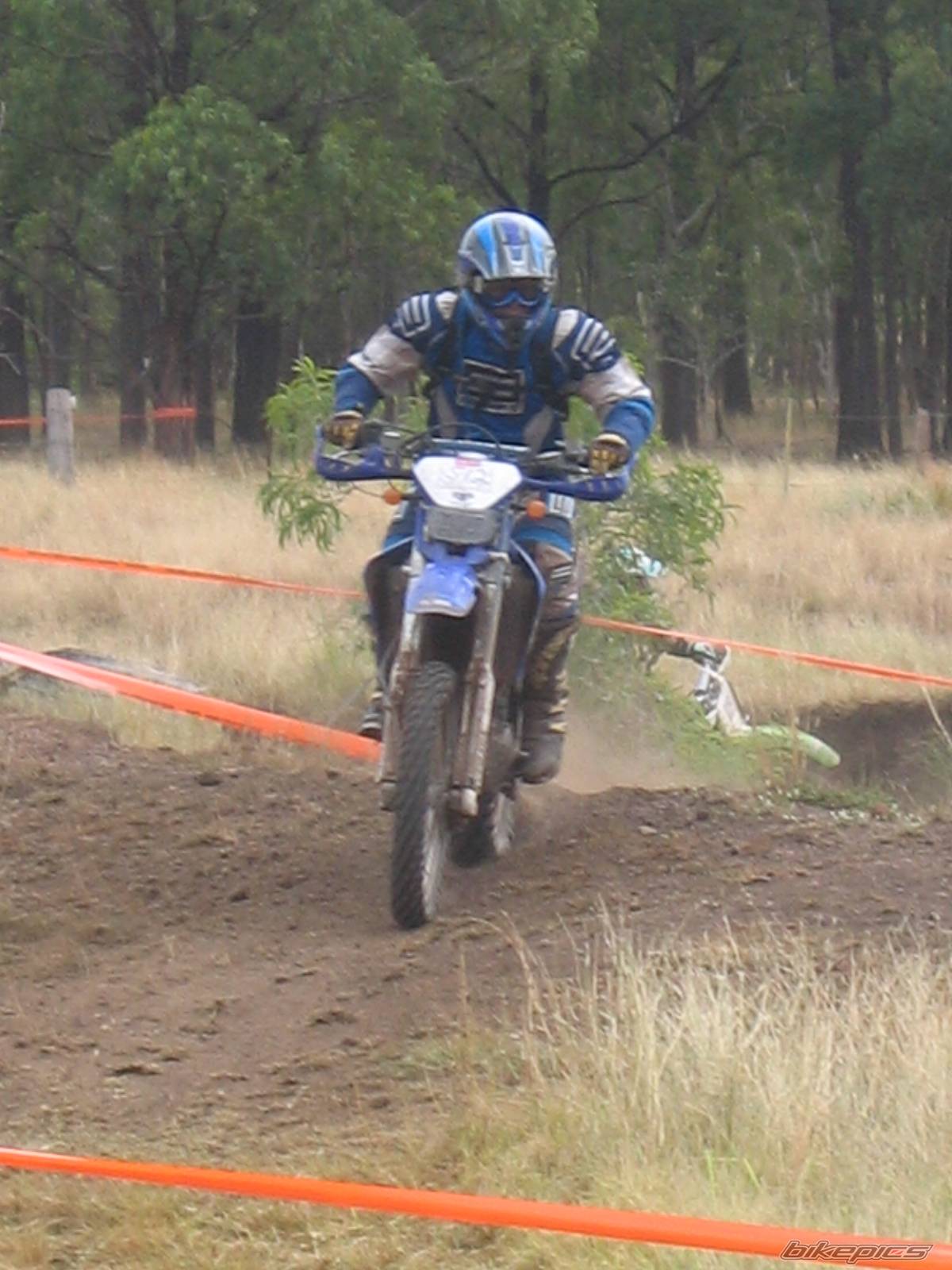 Photo 227947