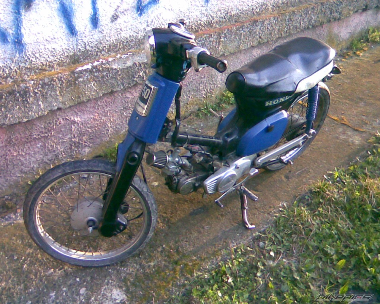 Photo 2279565
