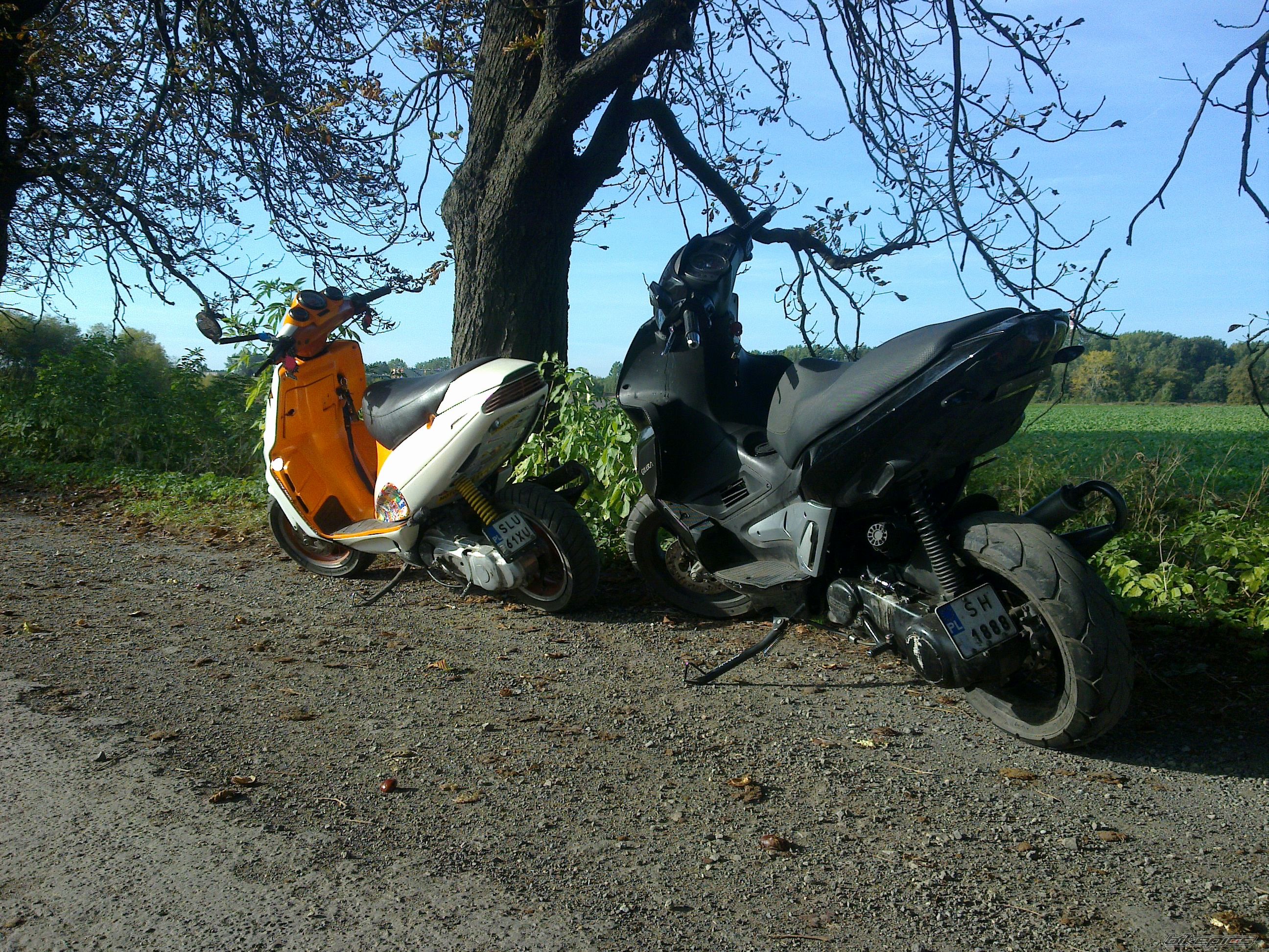 Photo 2279617