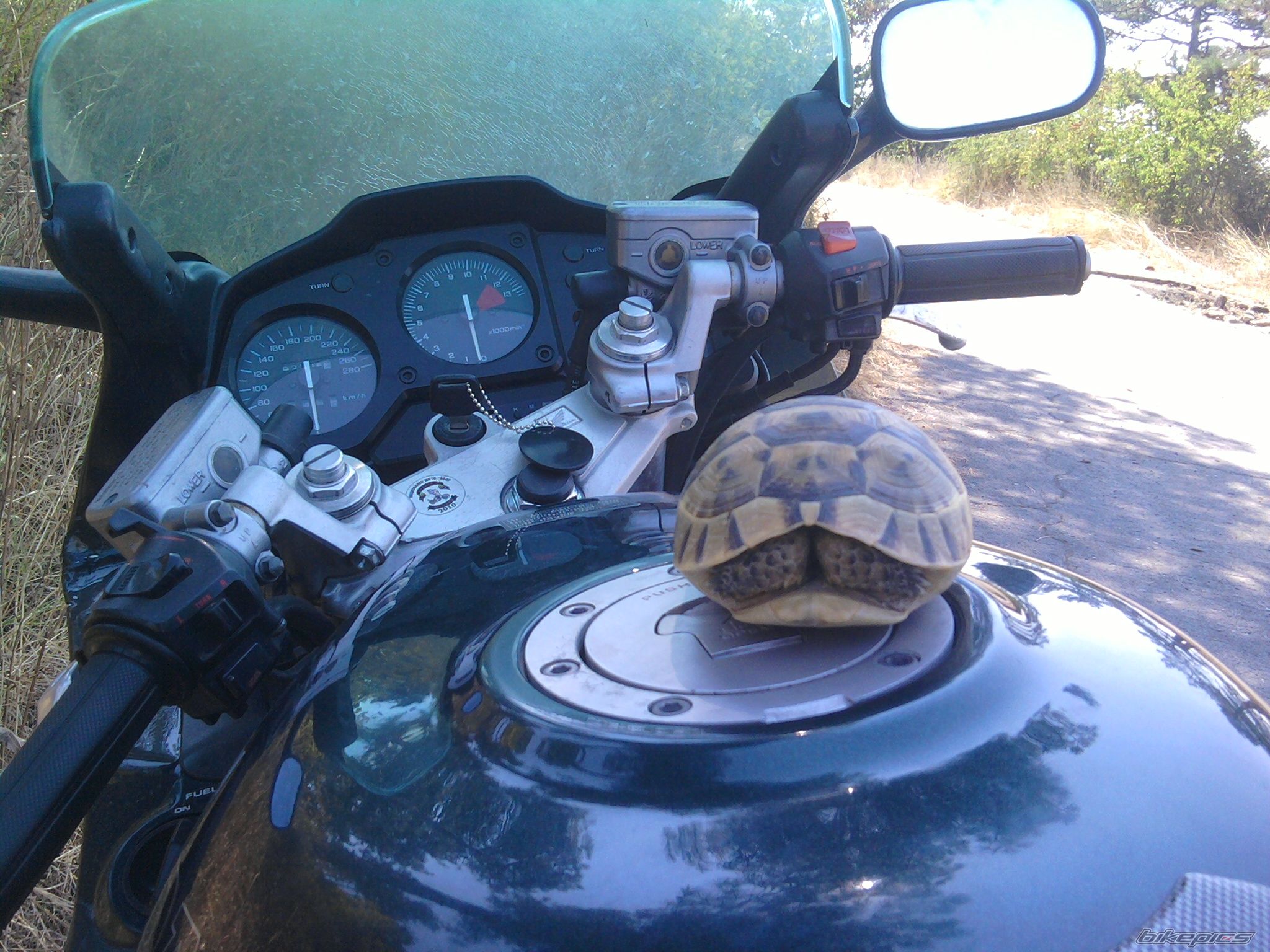 Photo 2279624
