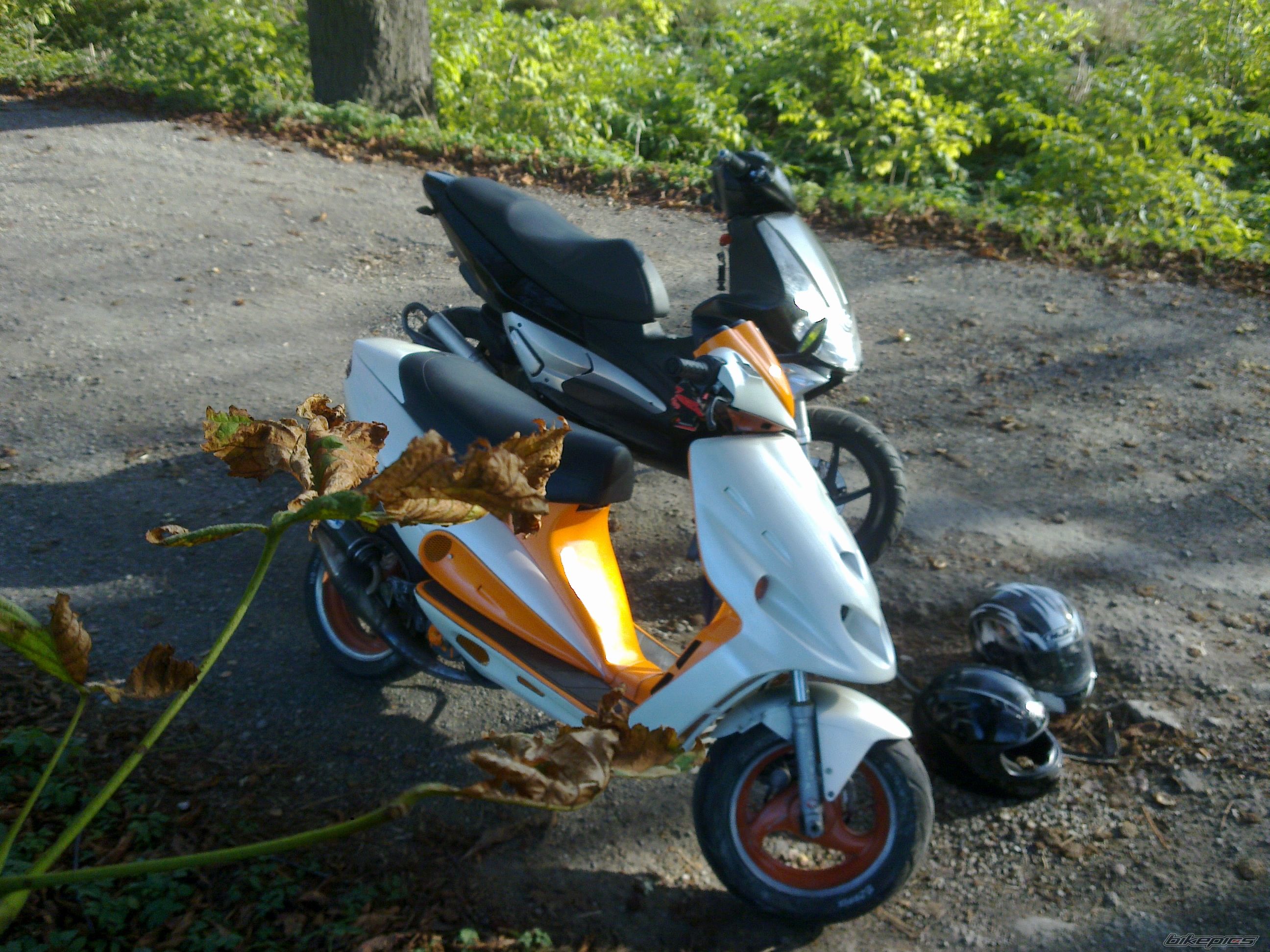 Photo 2279632