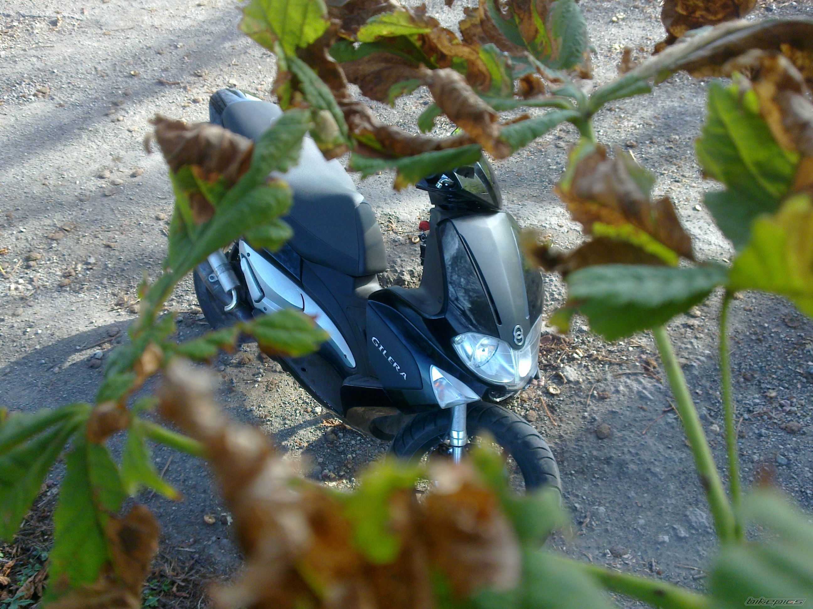 Photo 2279641