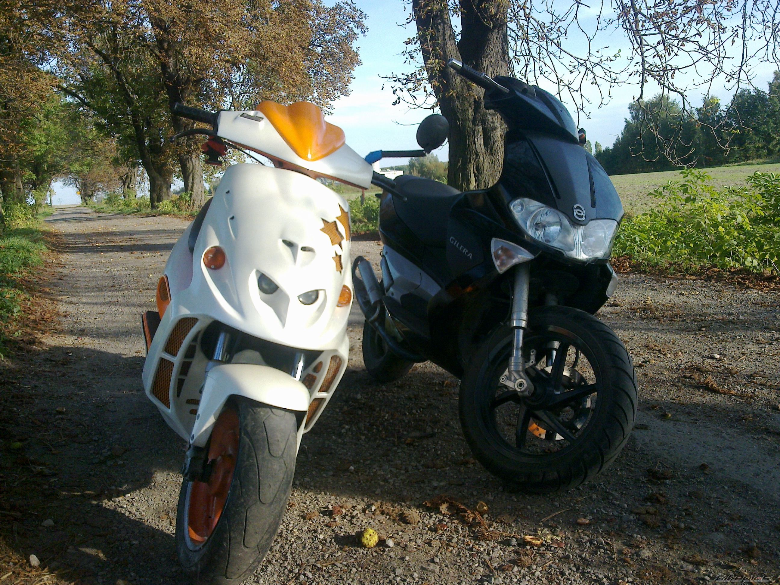 Photo 2279651